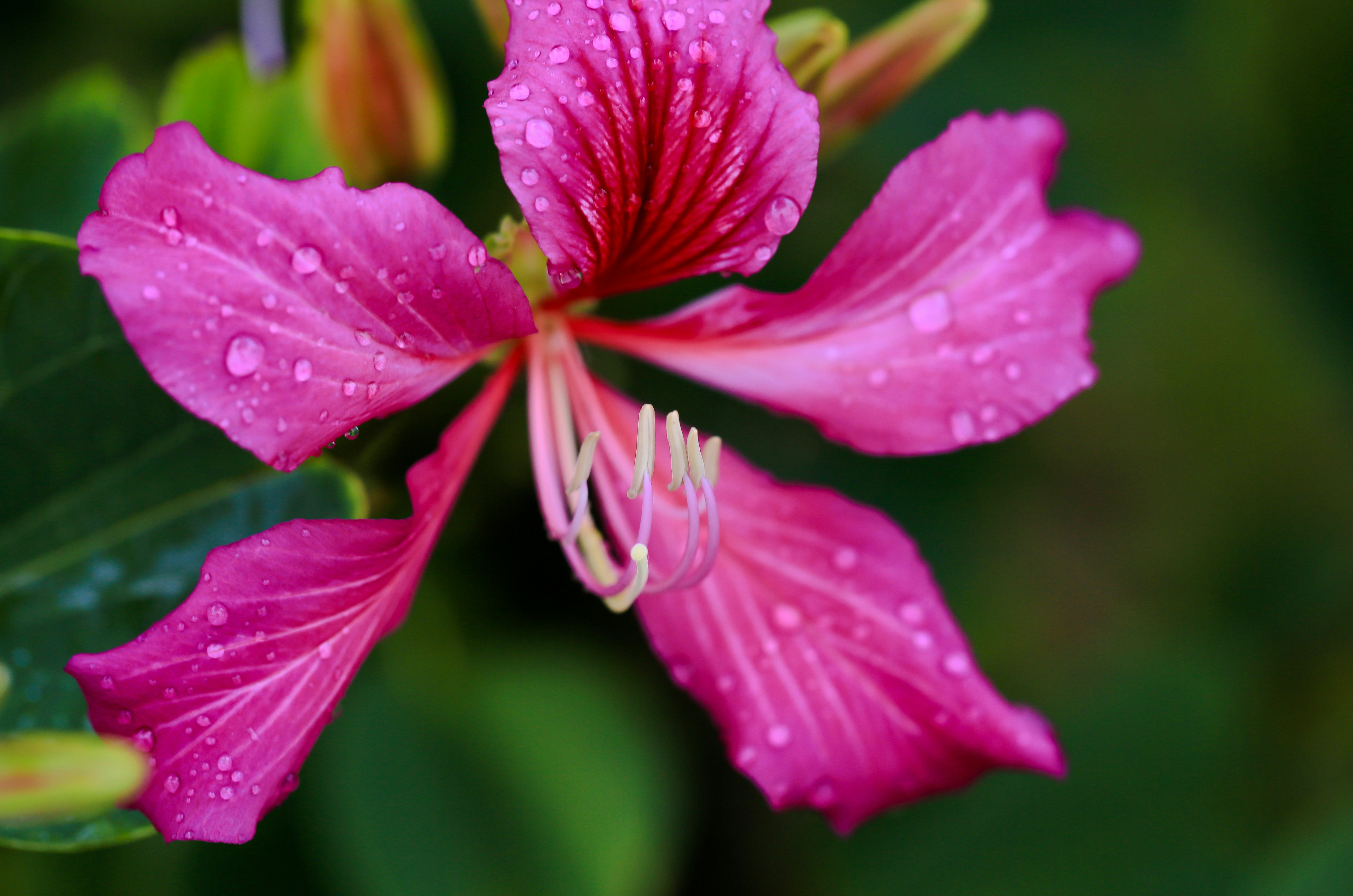 Photo by terry885908