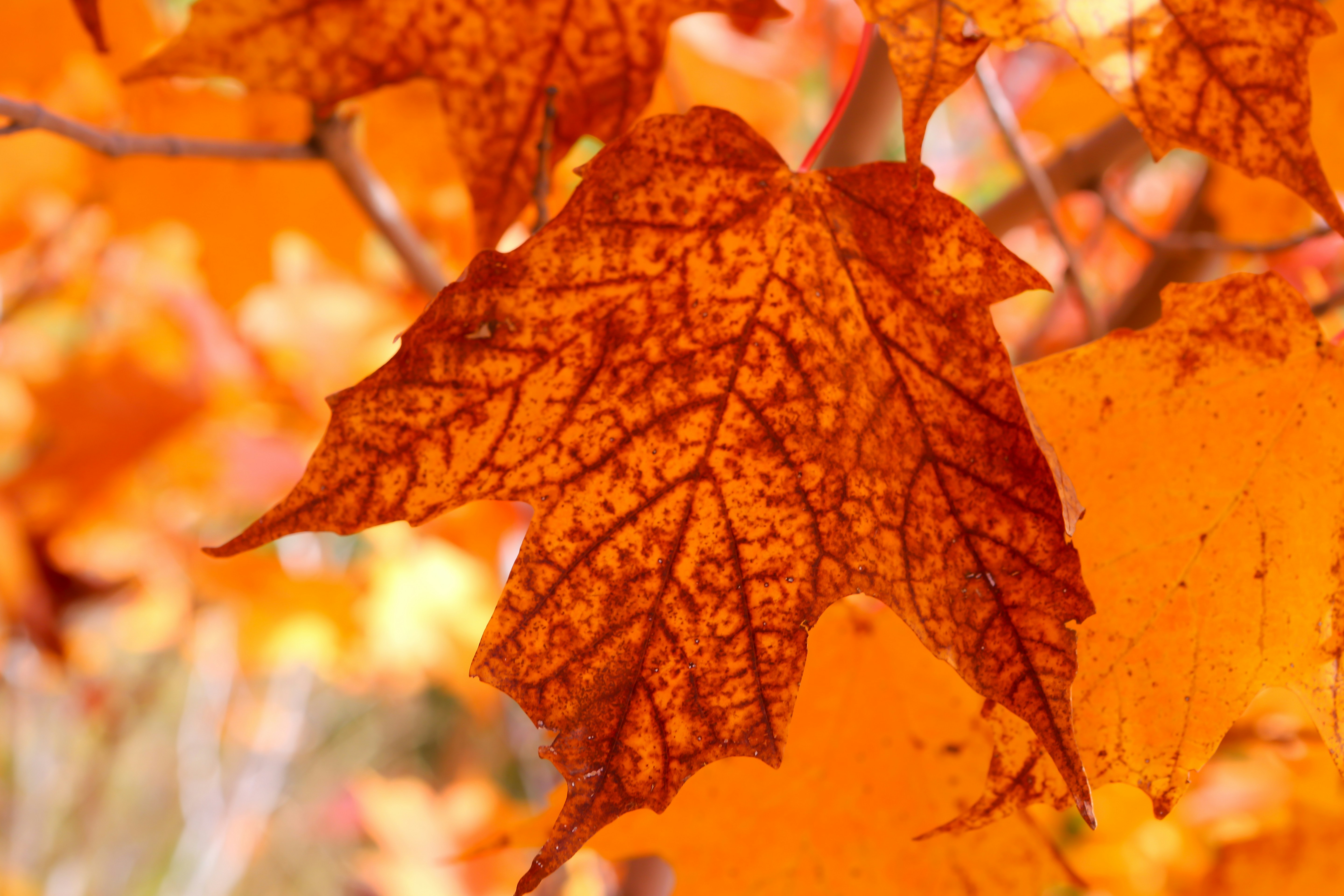 Photo by terry885908