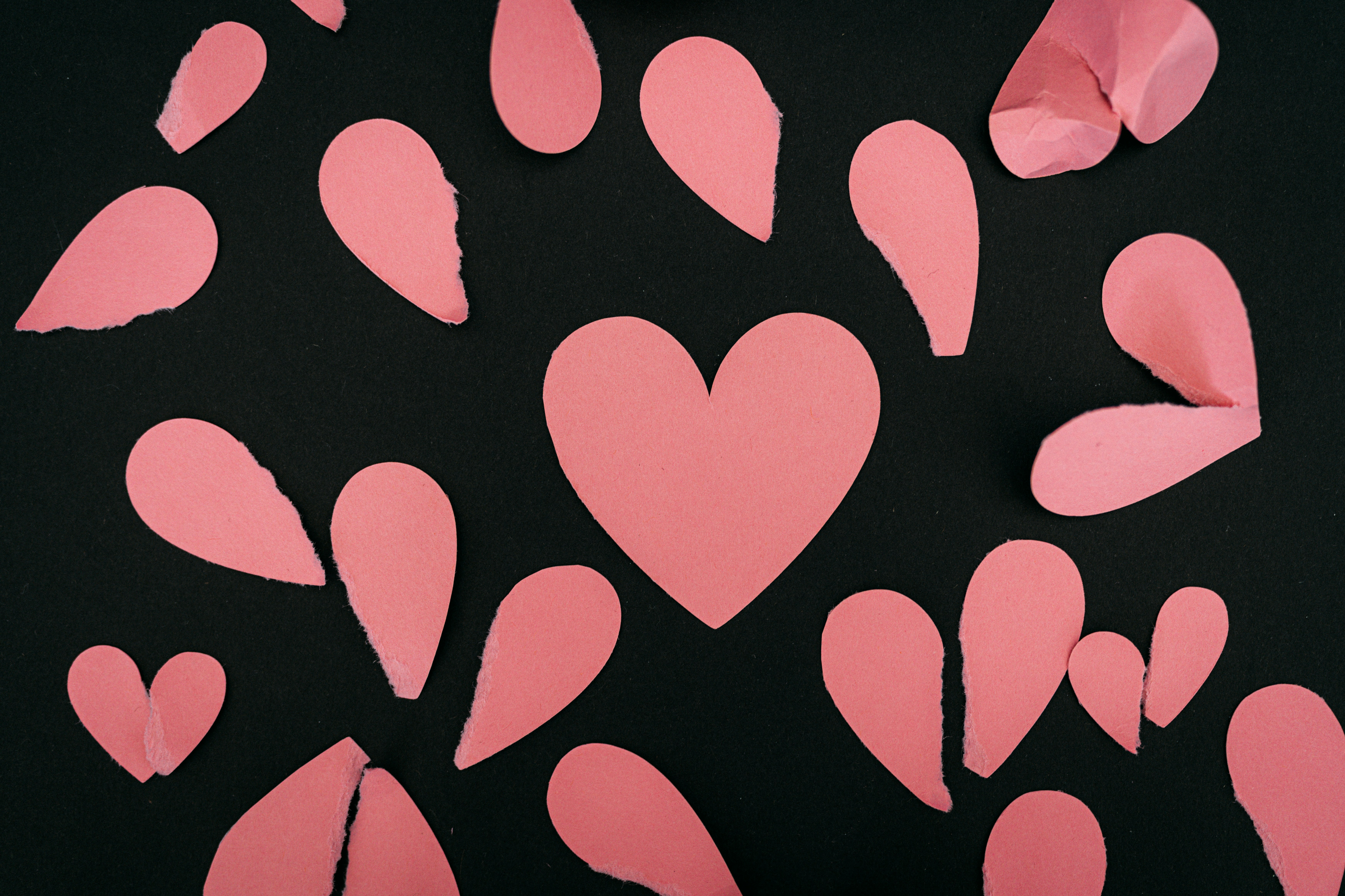 Photo by kellysikkema