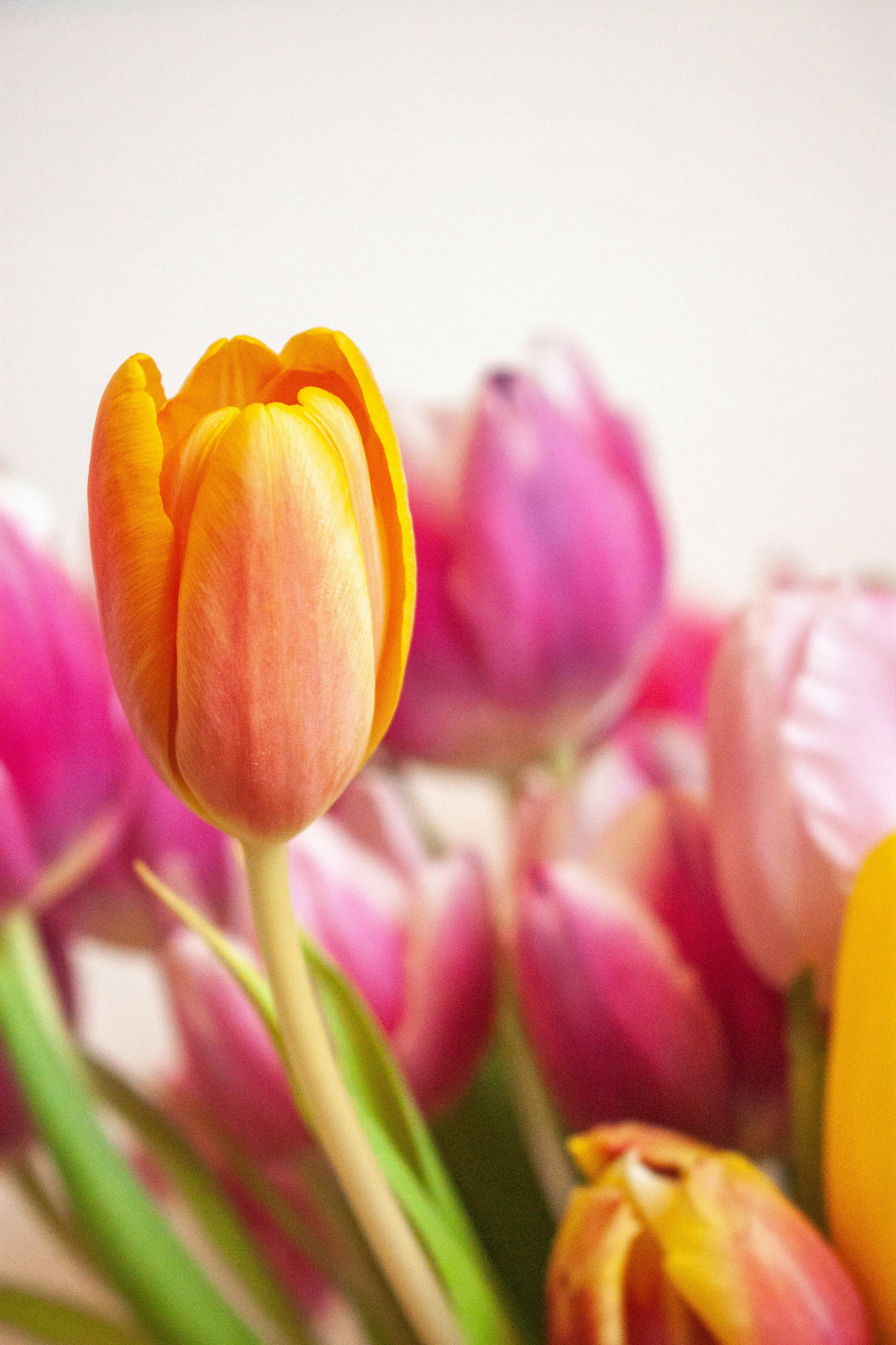 Photo by kamillaisalieva