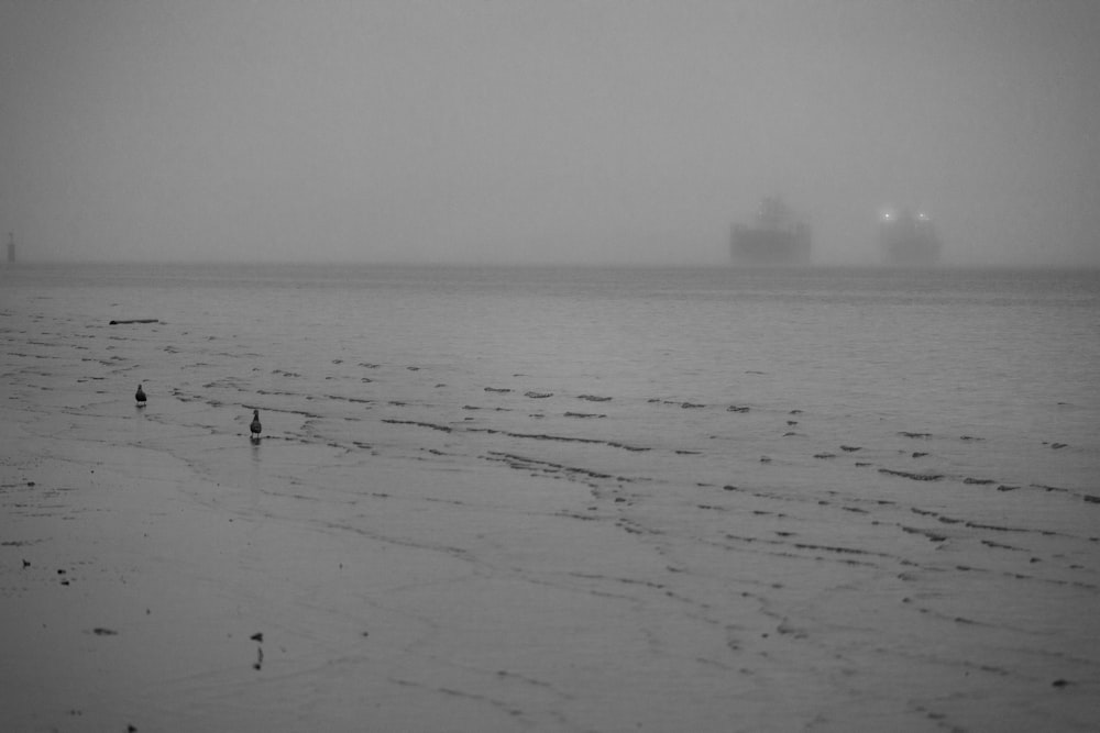 a large cargo ship in the distance on a foggy day