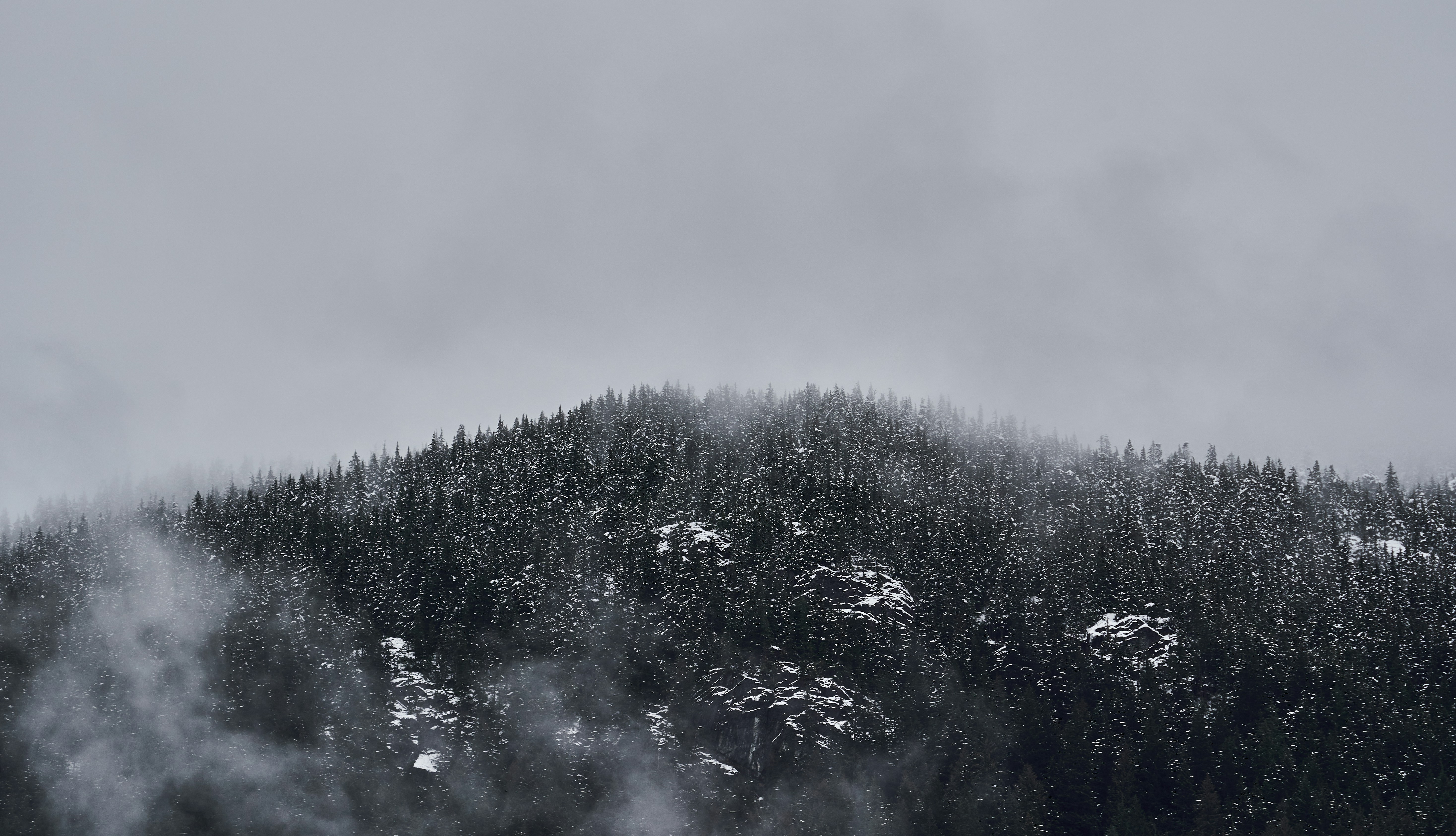 Photo by suicide_chewbacca