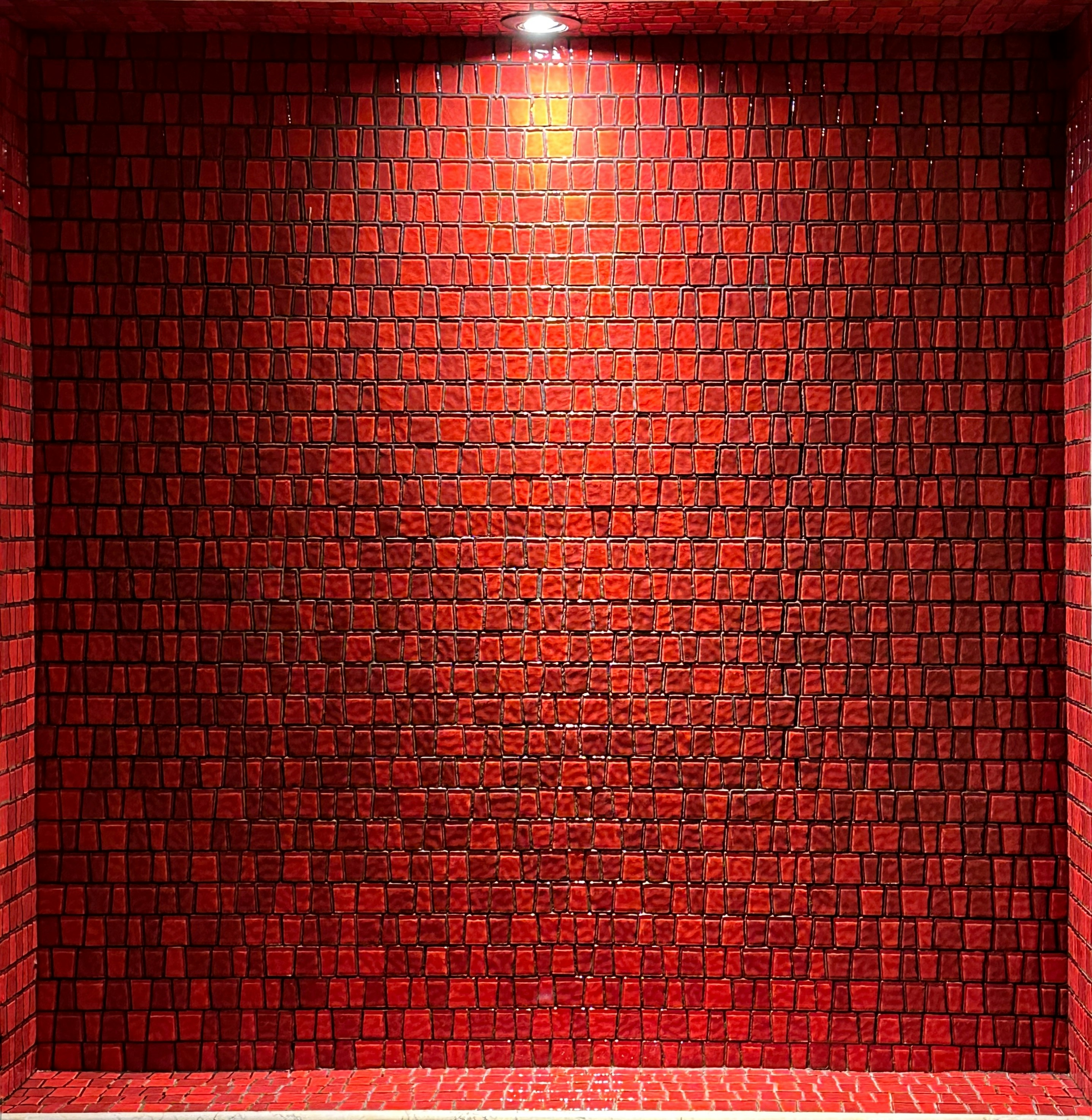 Exterior wall with fresh, clean tiling work under natural sunlight.