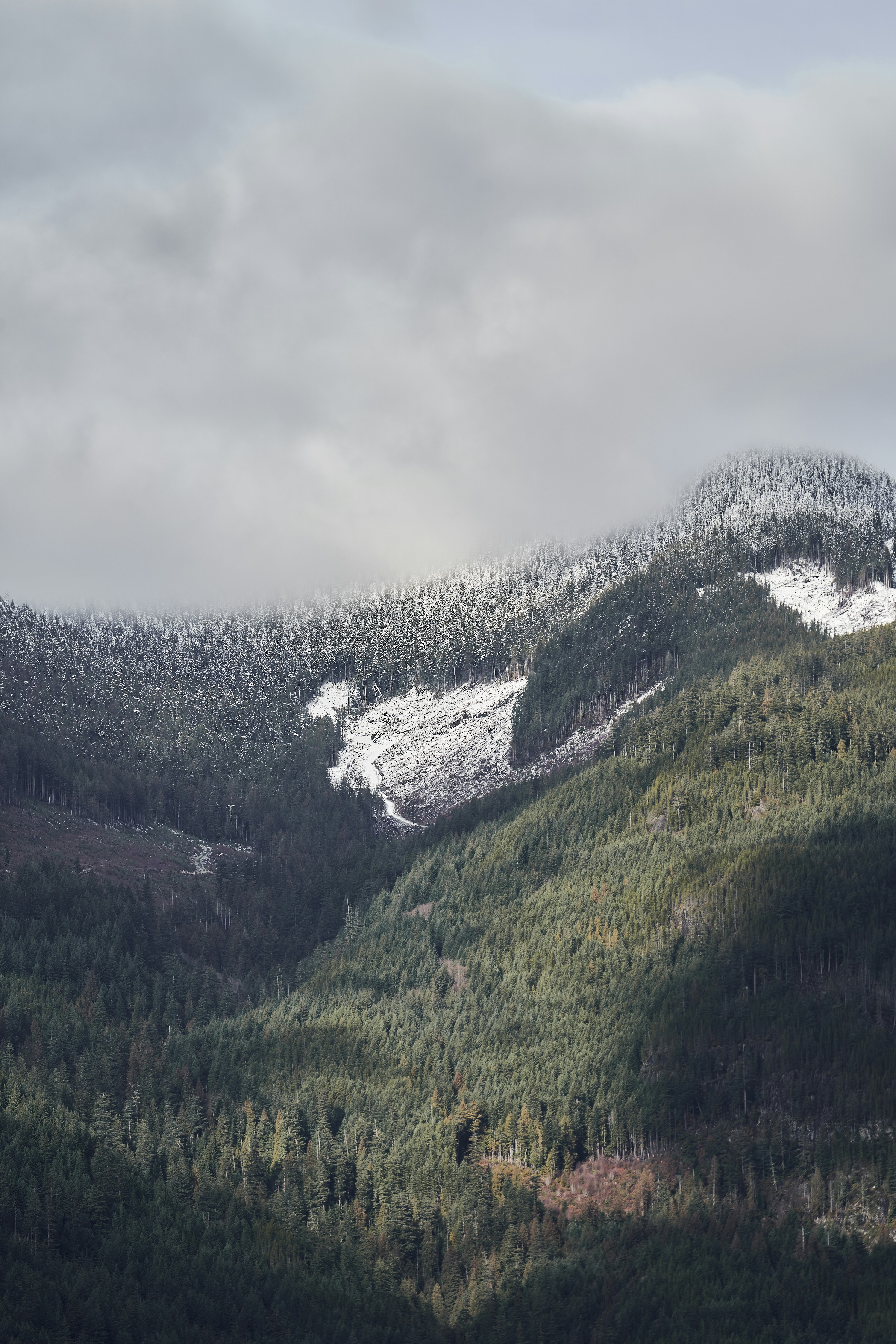 a mountain covered in snow and trees under a cloudy sky