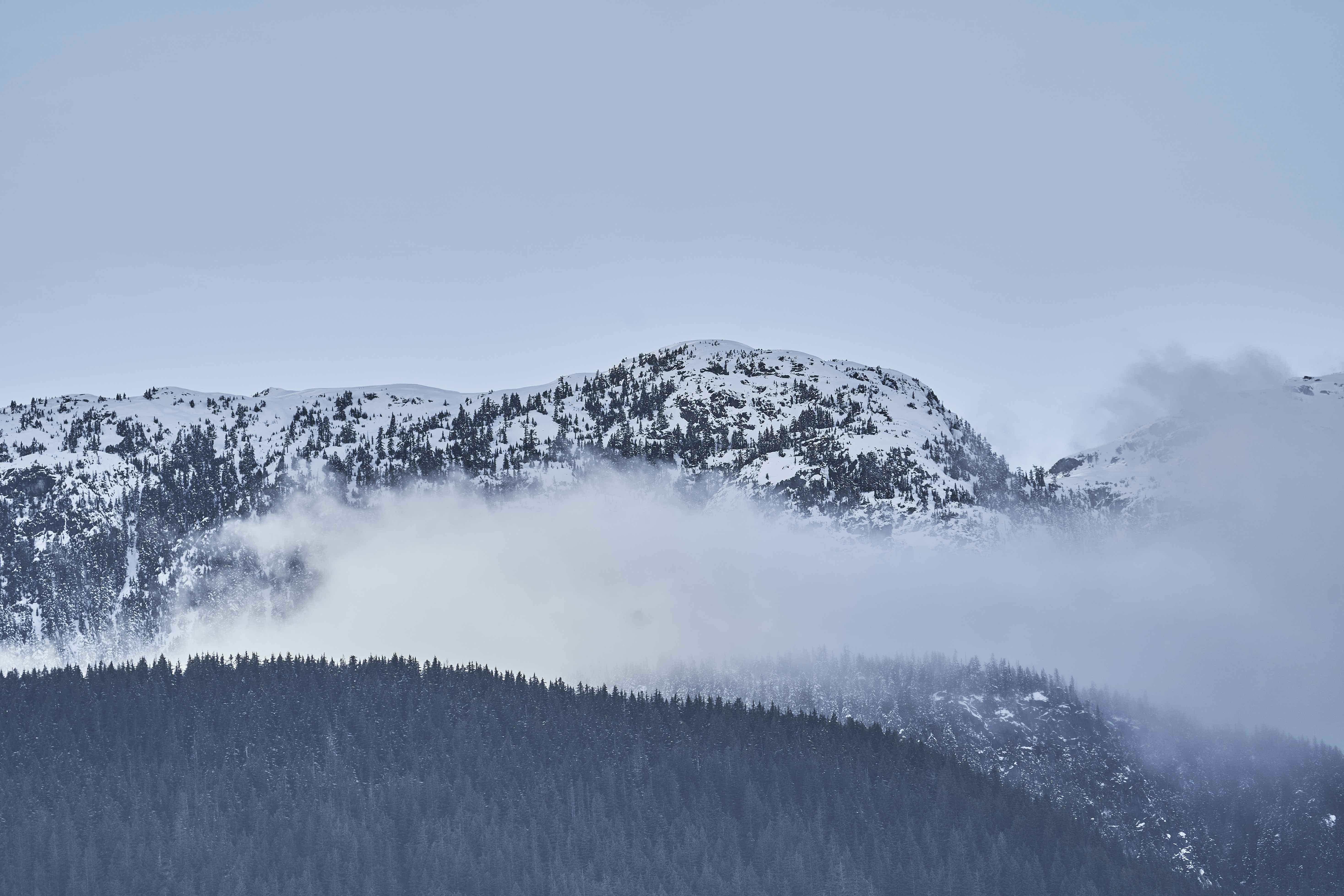 Photo by suicide_chewbacca