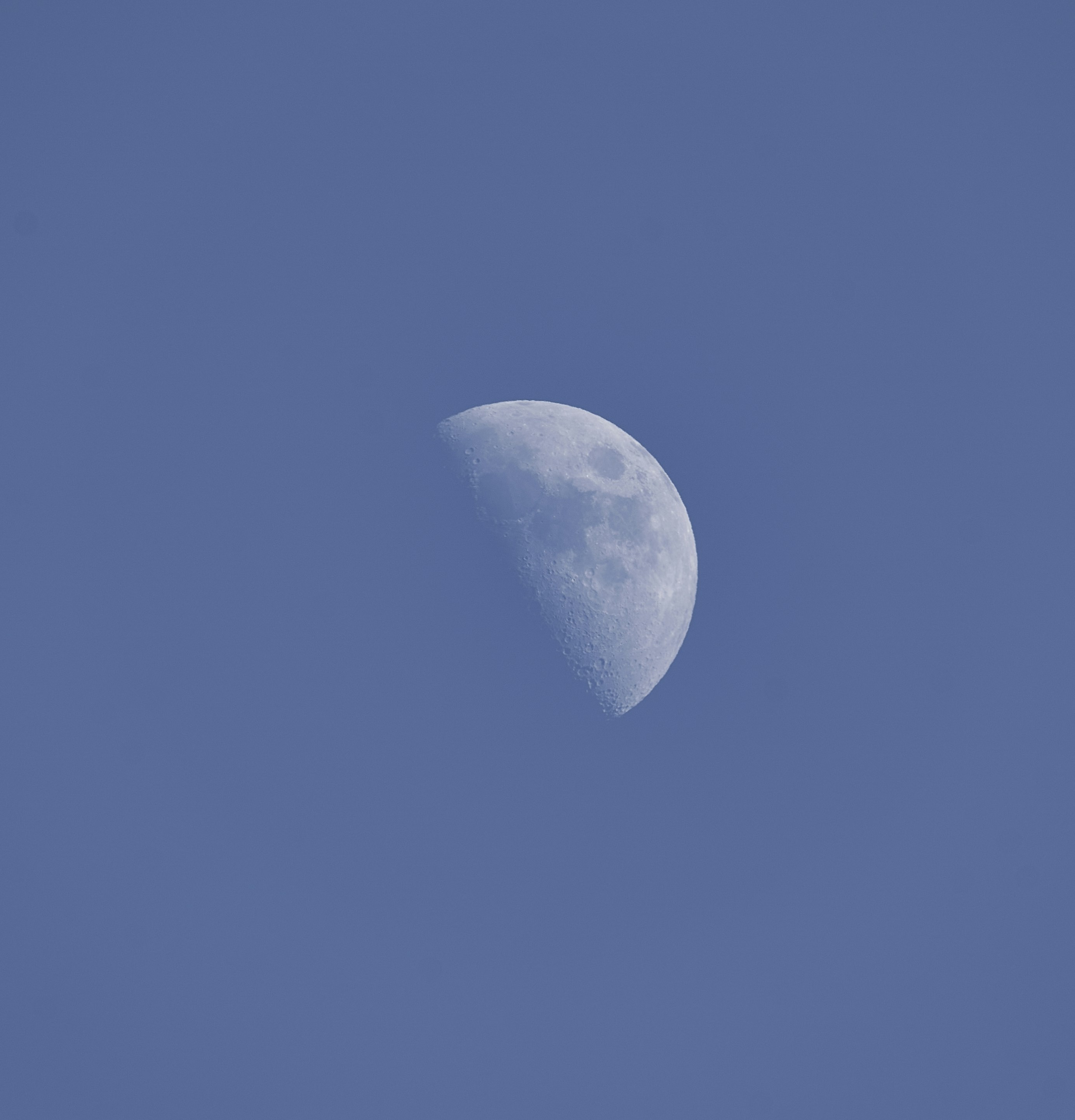 Photo by suicide_chewbacca