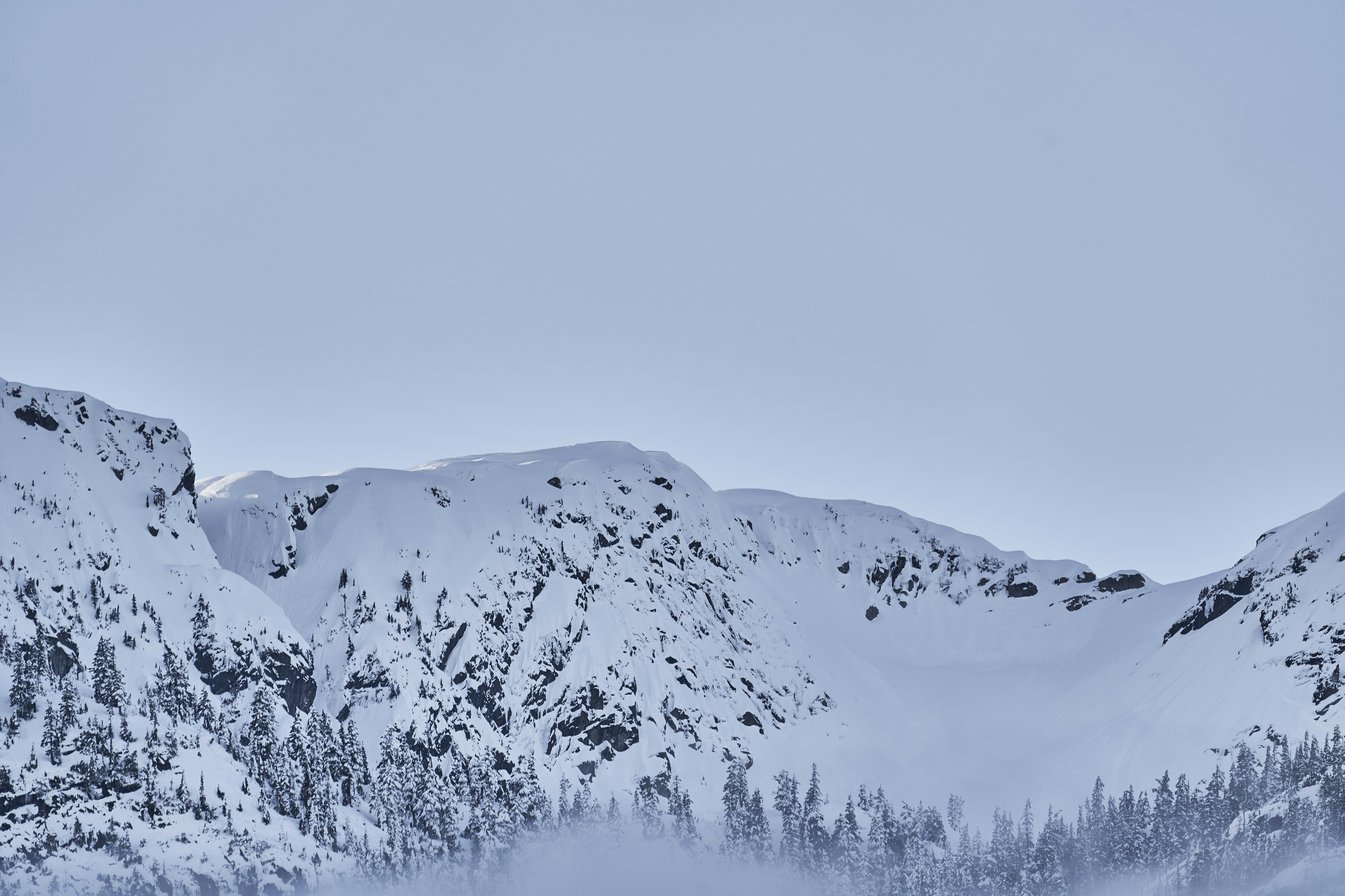 Photo by suicide_chewbacca