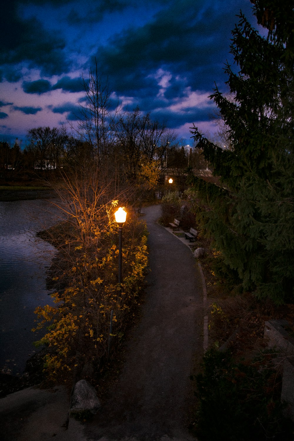 a street light on a path next to a body of water