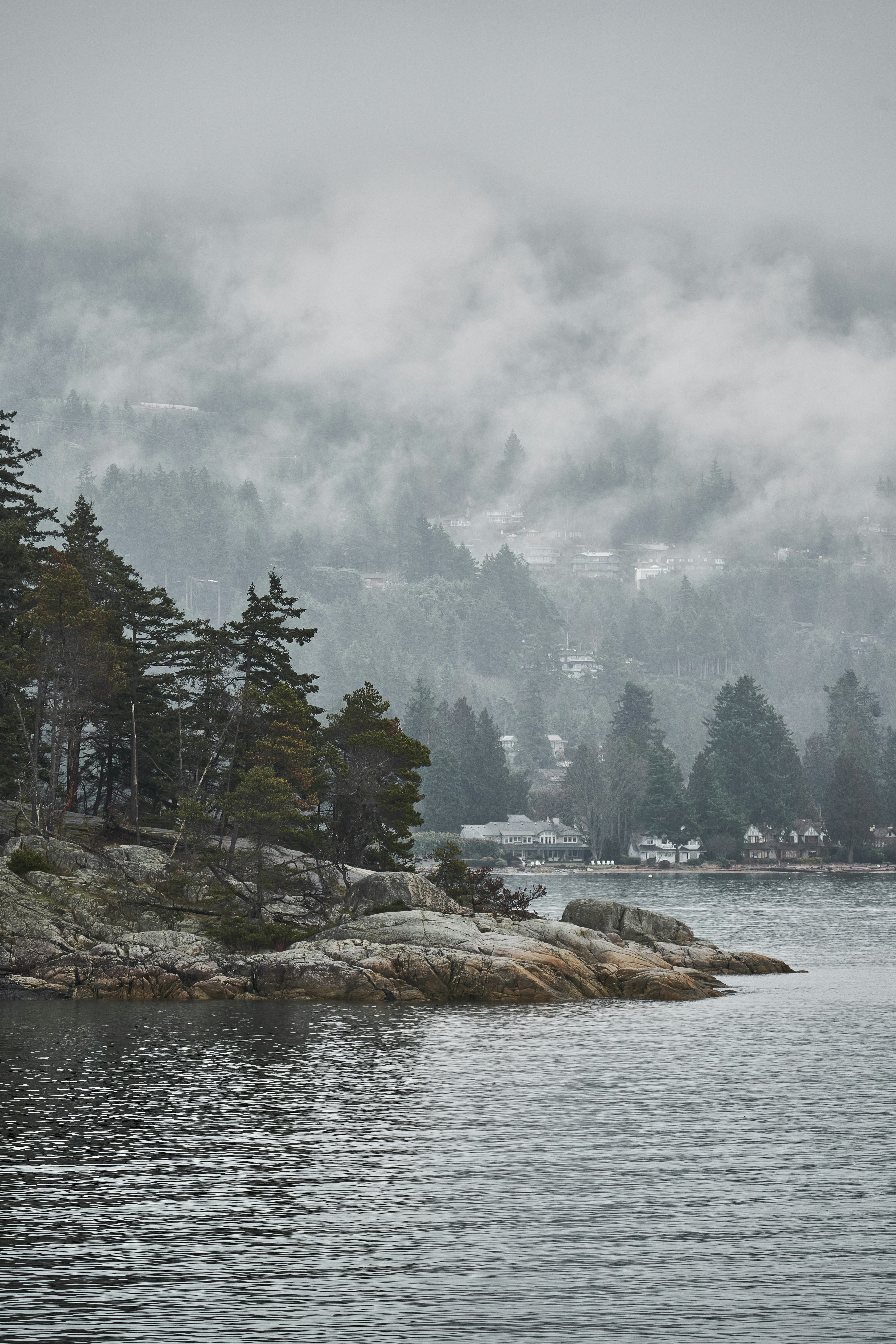 a large body of water surrounded by trees