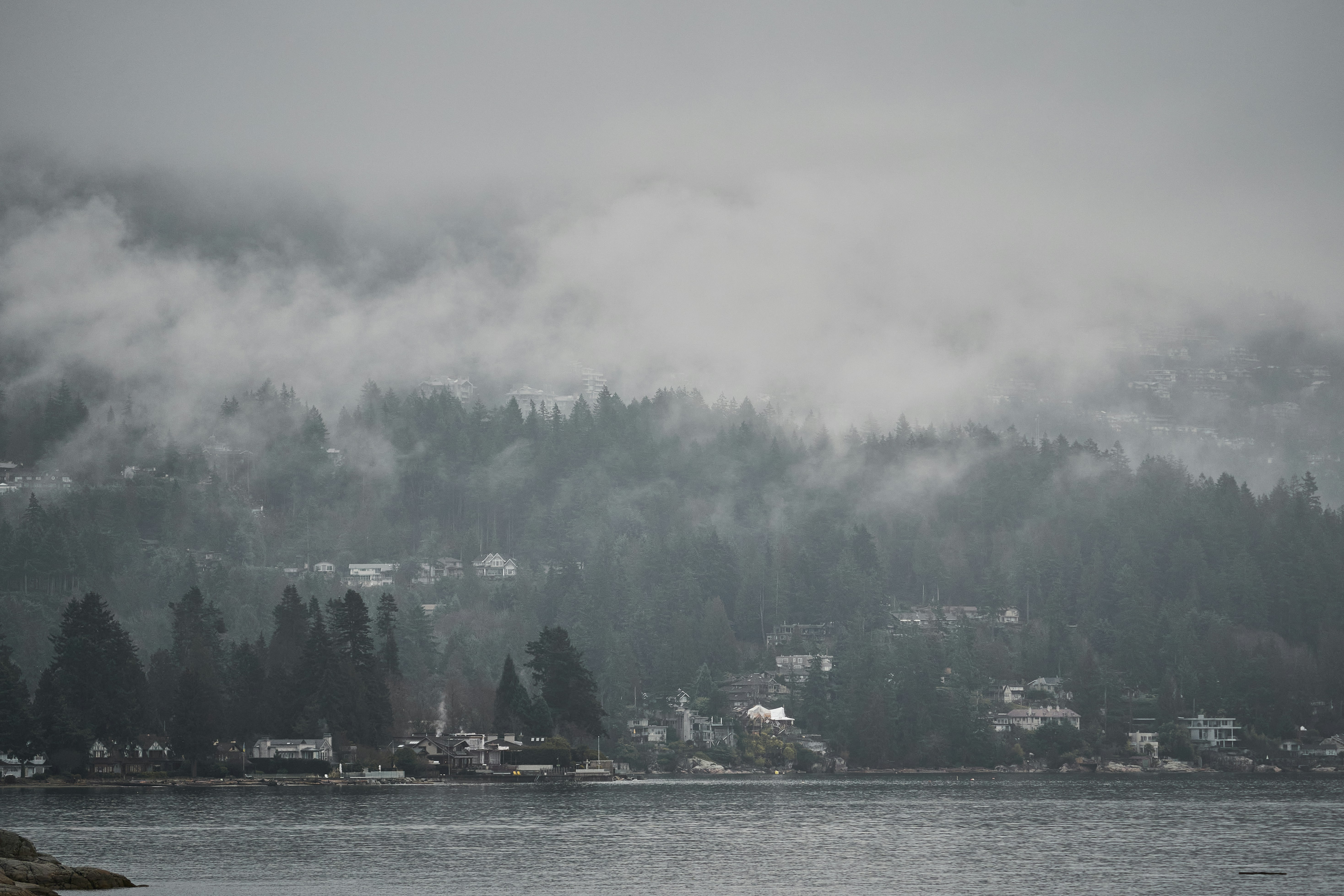 Photo by suicide_chewbacca