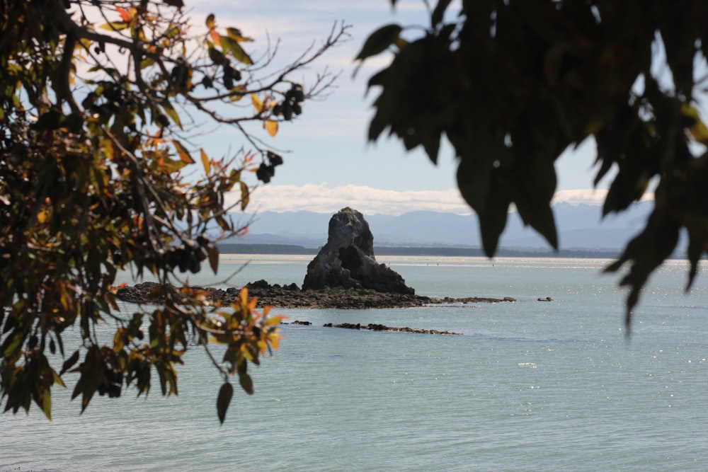 a large rock in the middle of a body of water