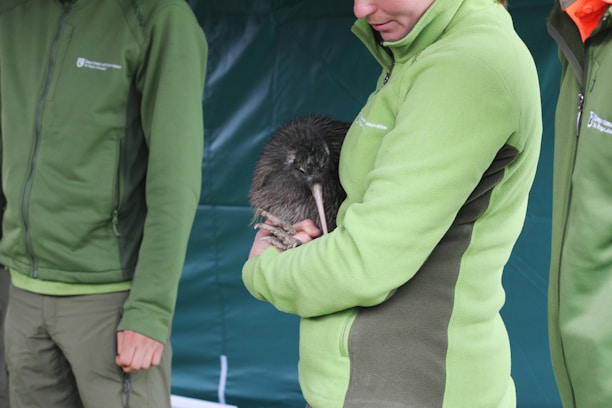 A vibrant illustration of a kiwi bird wearing a family scarf, symbolizing warmth and creativity.