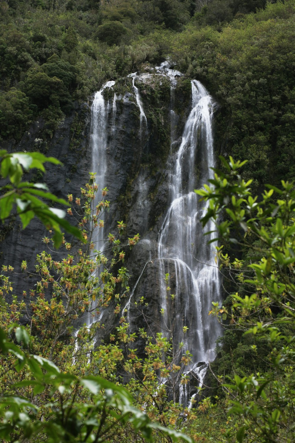 a large waterfall in the middle of a forest