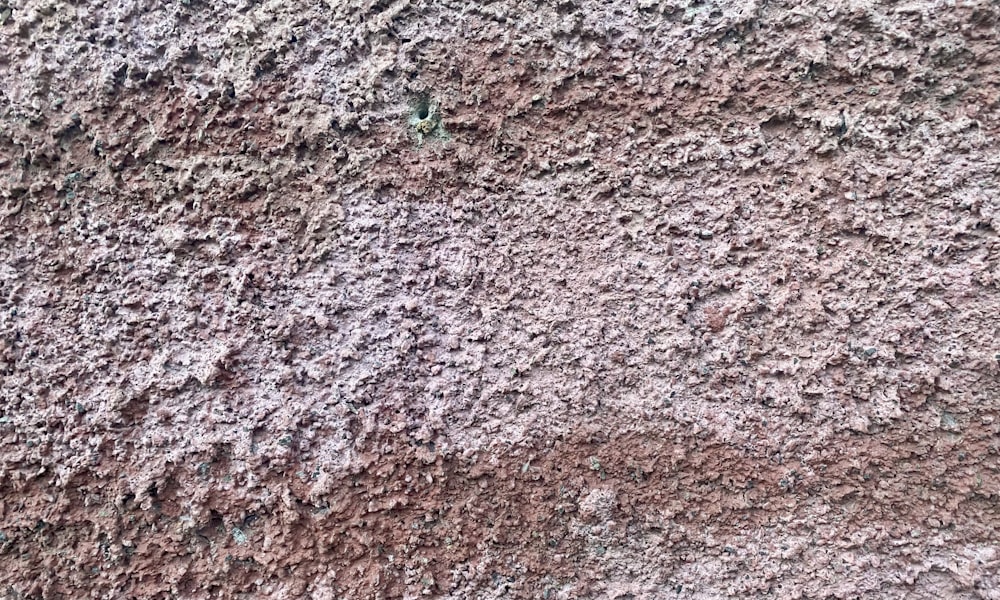 a close up view of a wall with dirt on it