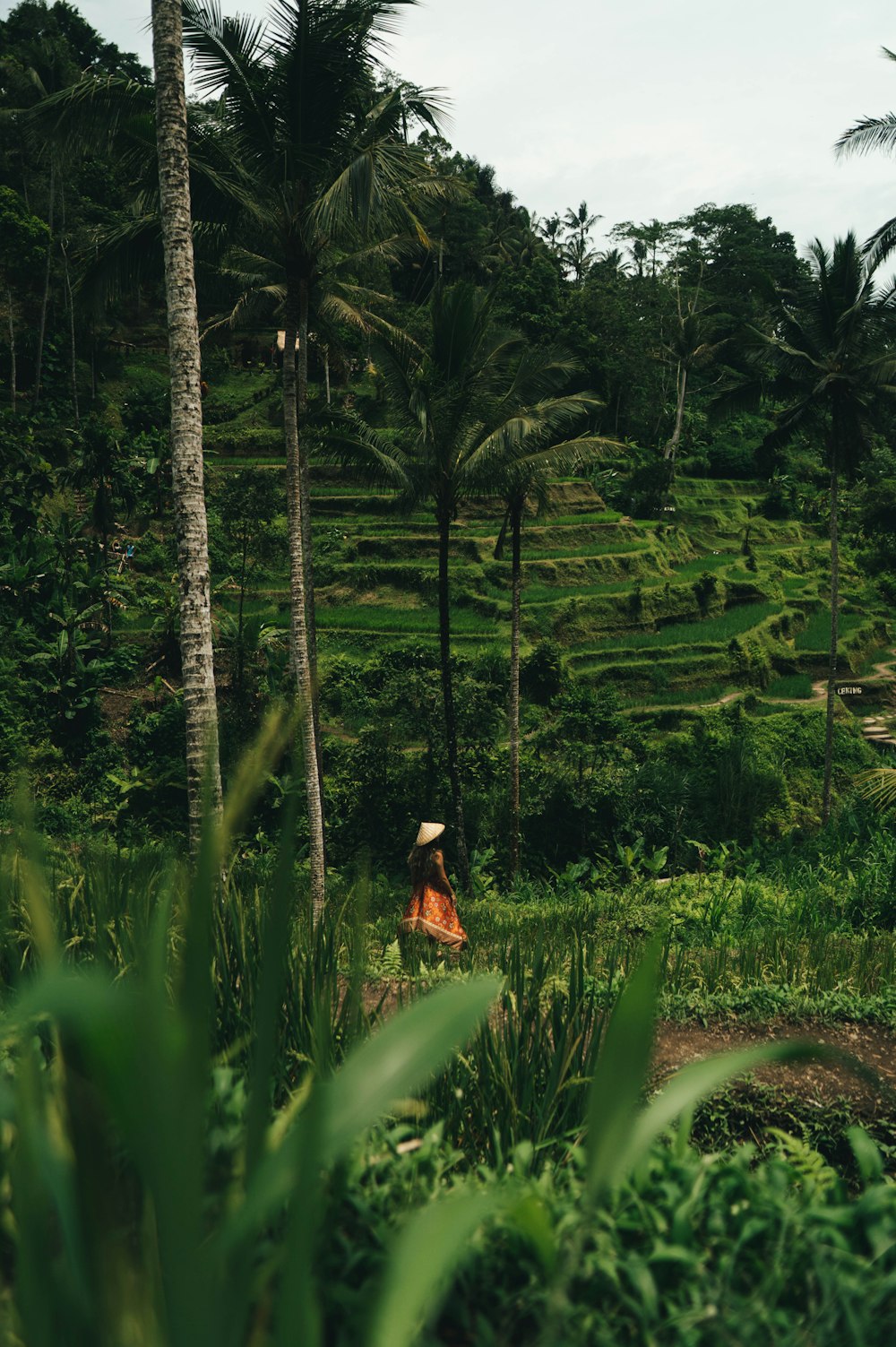 a woman in a straw hat walking through a lush green jungle