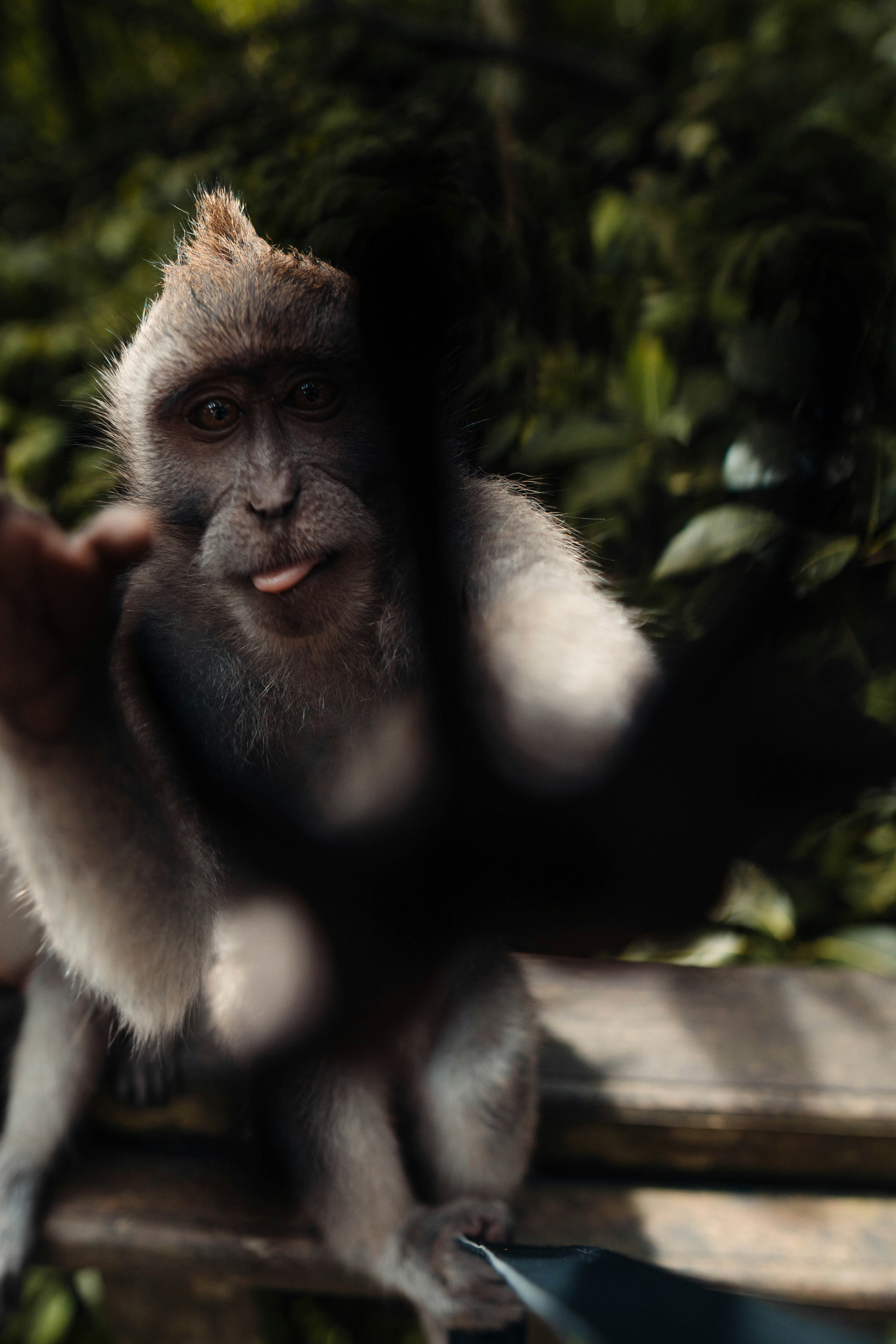 Photo by simonpallard