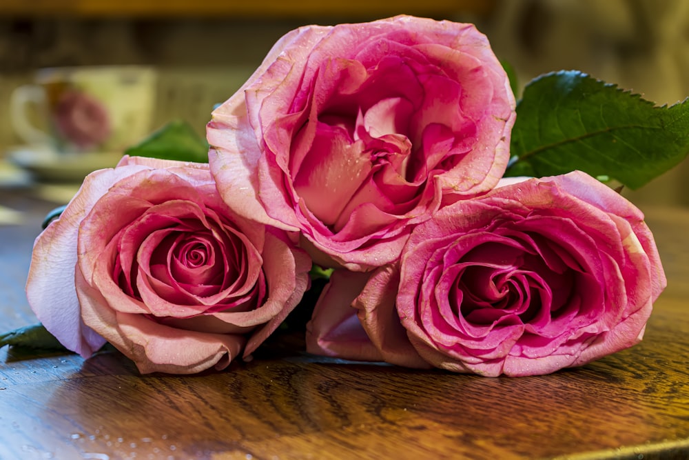 three pink roses sitting on top of a wooden table