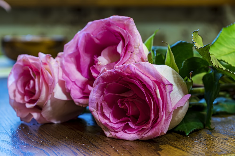 three pink roses sitting on top of a wooden table