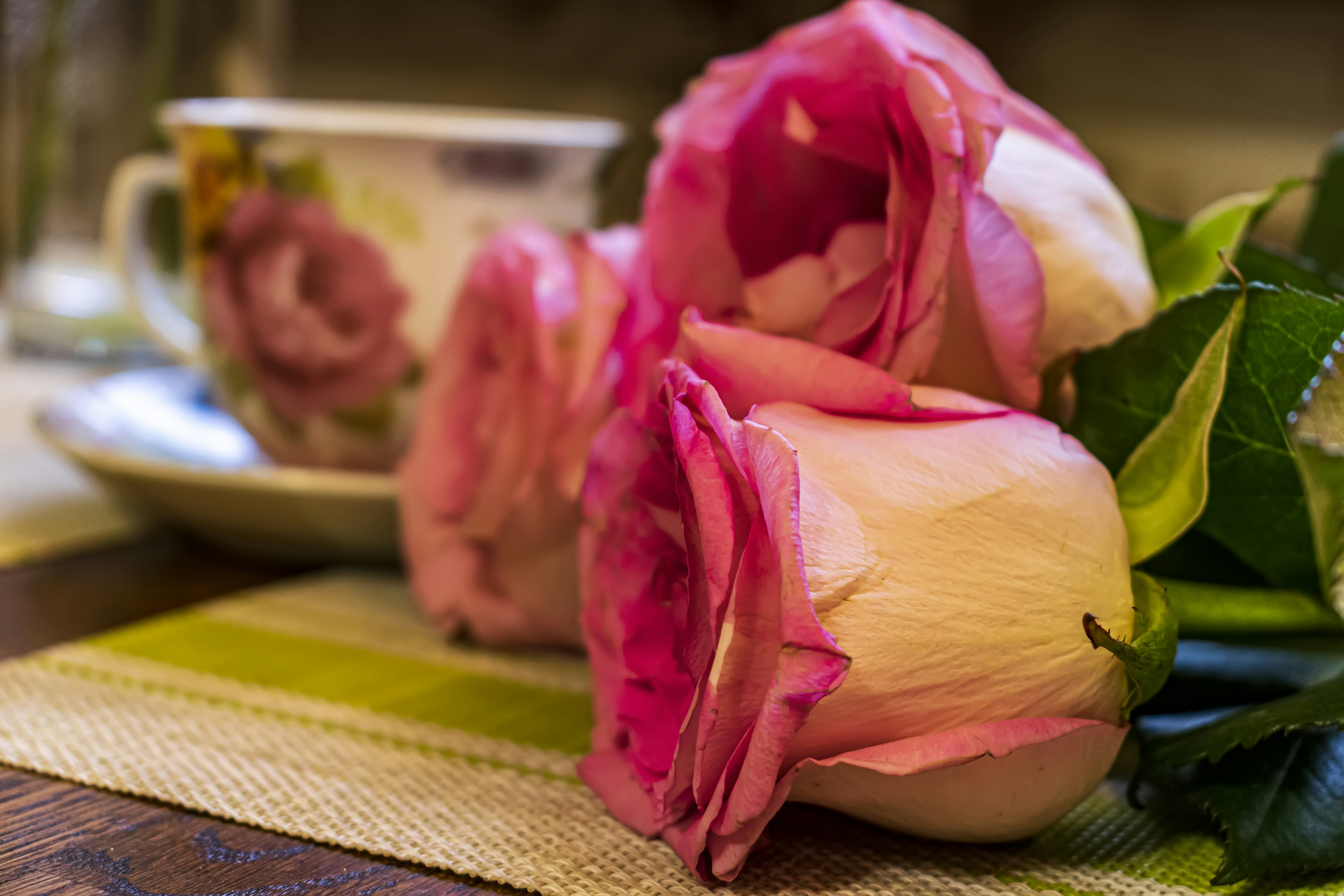 Photo by kostiantynvierkieiev