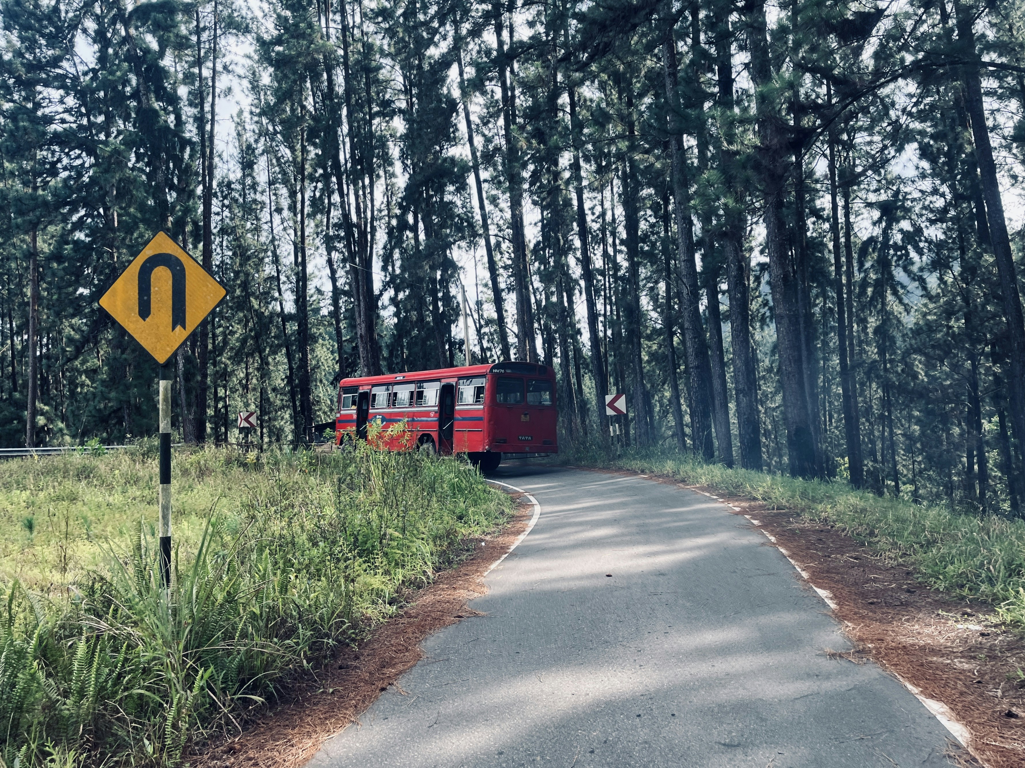 a red bus driving down a road next to a forest