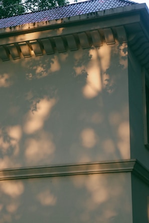 The image shows a portion of the exterior of a building with a tiled roof. The wall is light-colored, and there are shadows of tree branches and leaves cast on it. The top of the wall features architectural details such as corbels or brackets.