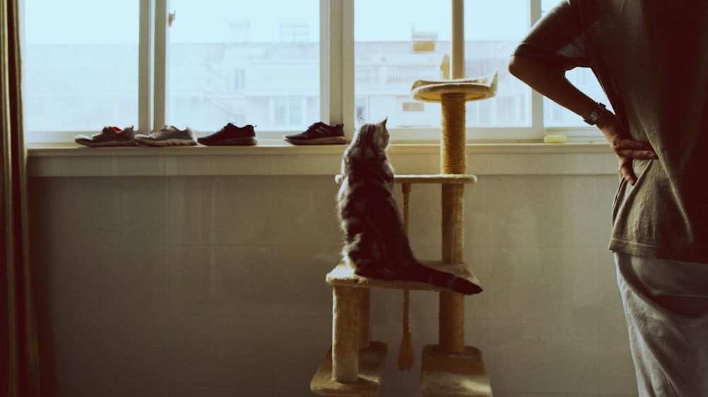 a man standing in front of a window next to a cat tree
