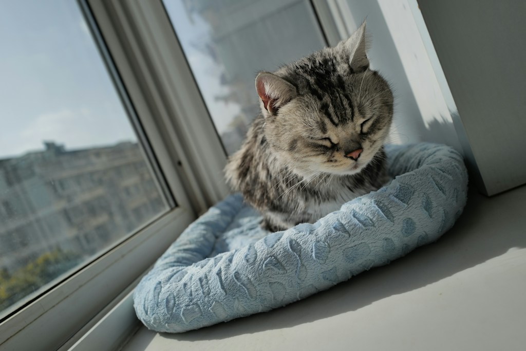 Cozy Cat Hideaway
