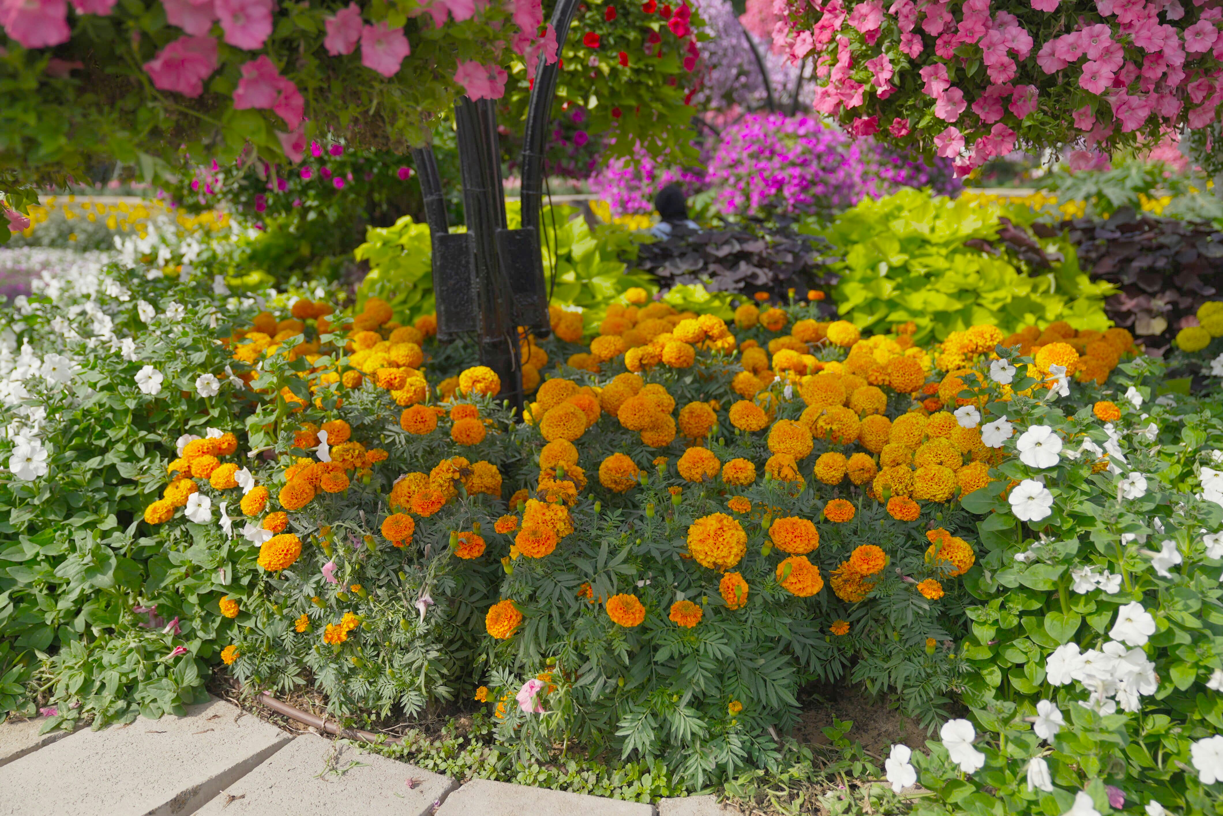 Photo by rafieeartist