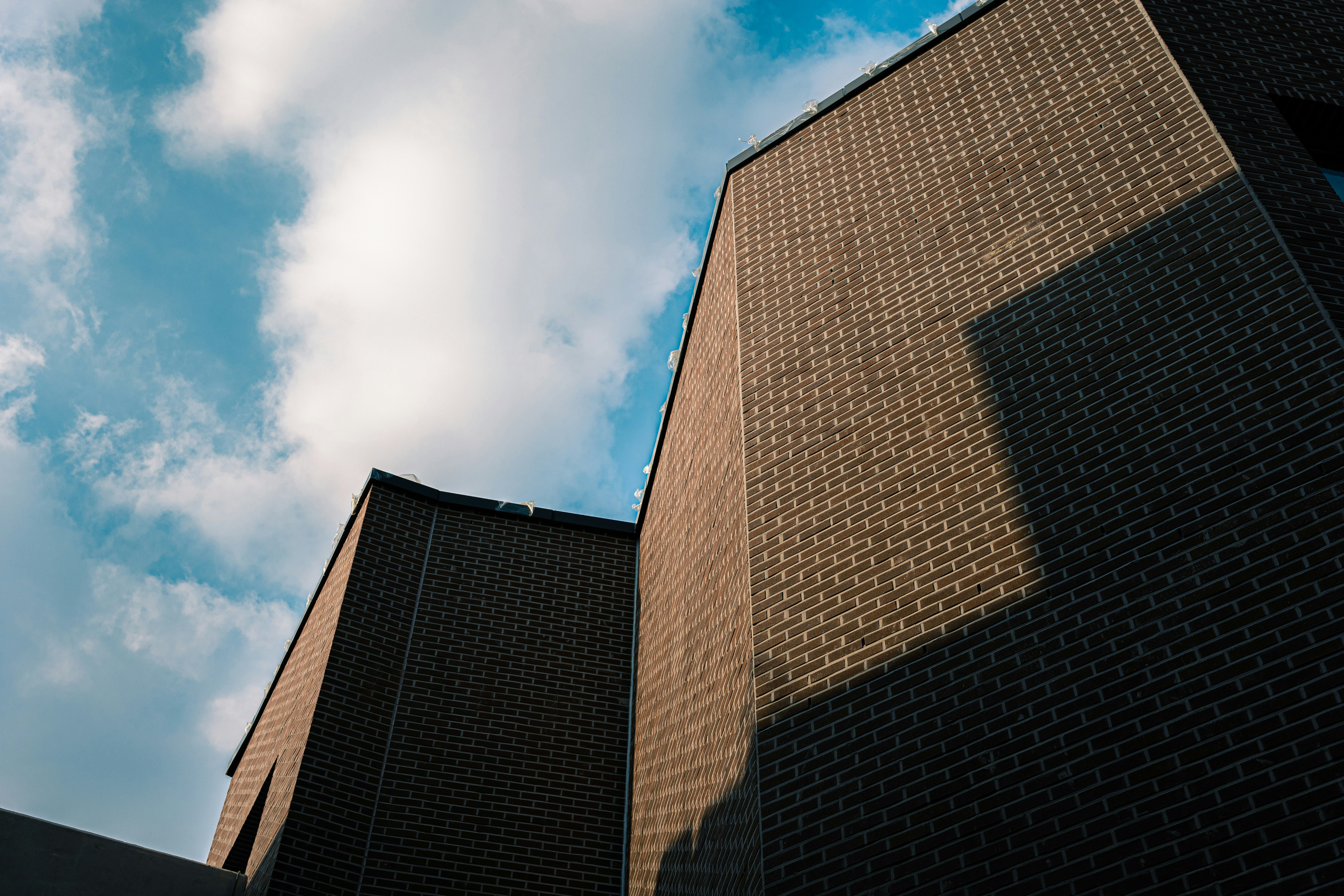 Photo by brother_yoon