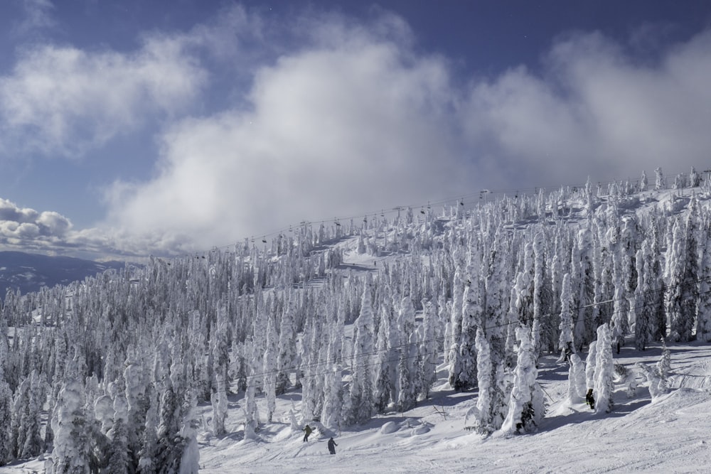 a snow covered ski slope with trees on the side