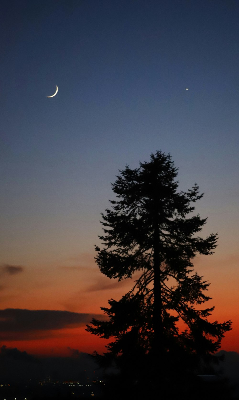 a tree and a crescent in the sky