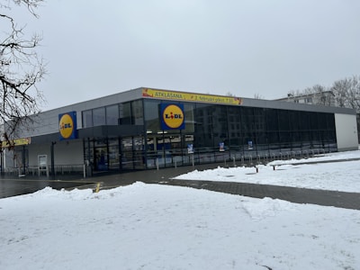 Lidl logo with its bold blue and yellow colors, representing retail strength.