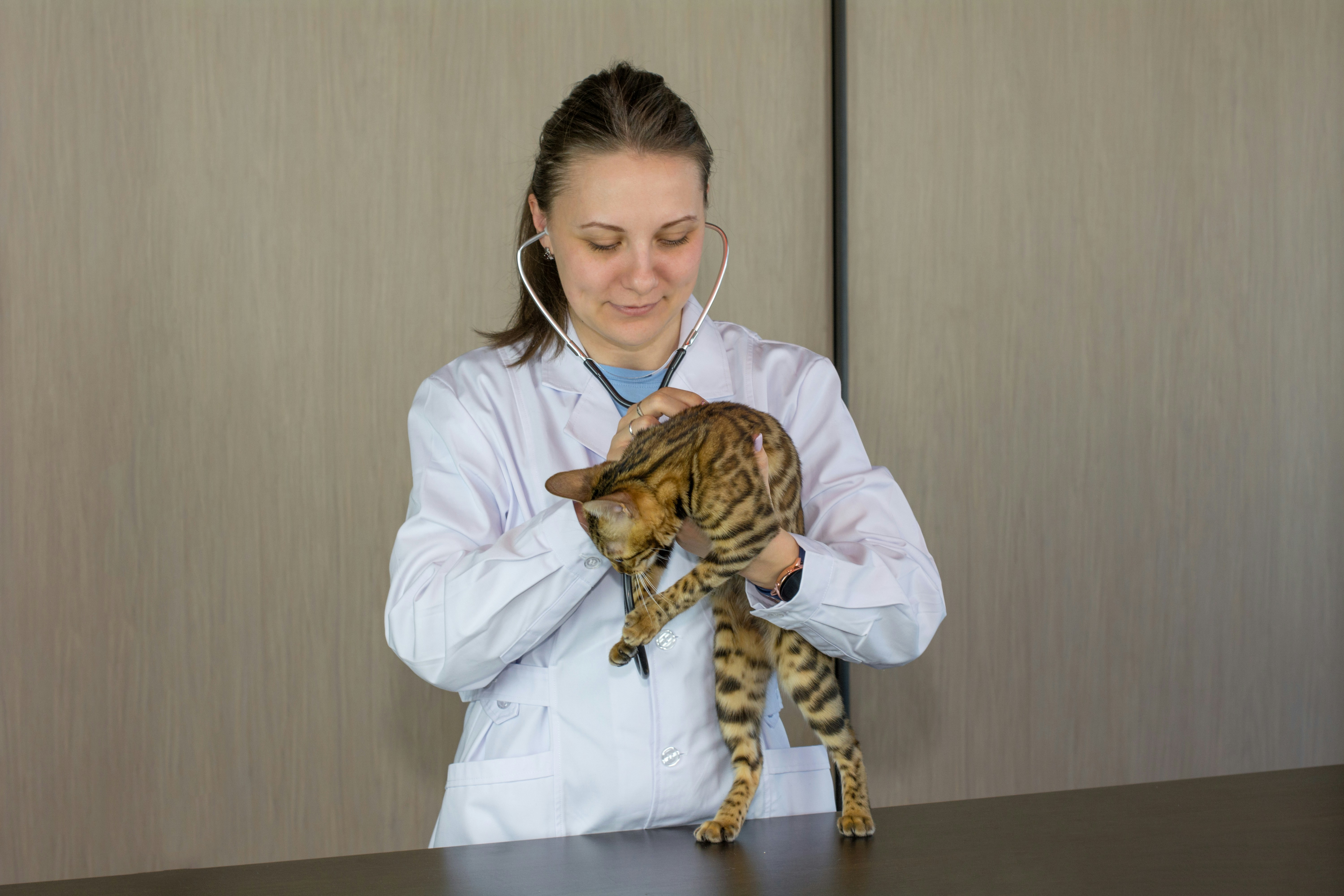 Dr. Michael Chen, Chief Veterinary Advisor, professional veterinarian with stethoscope