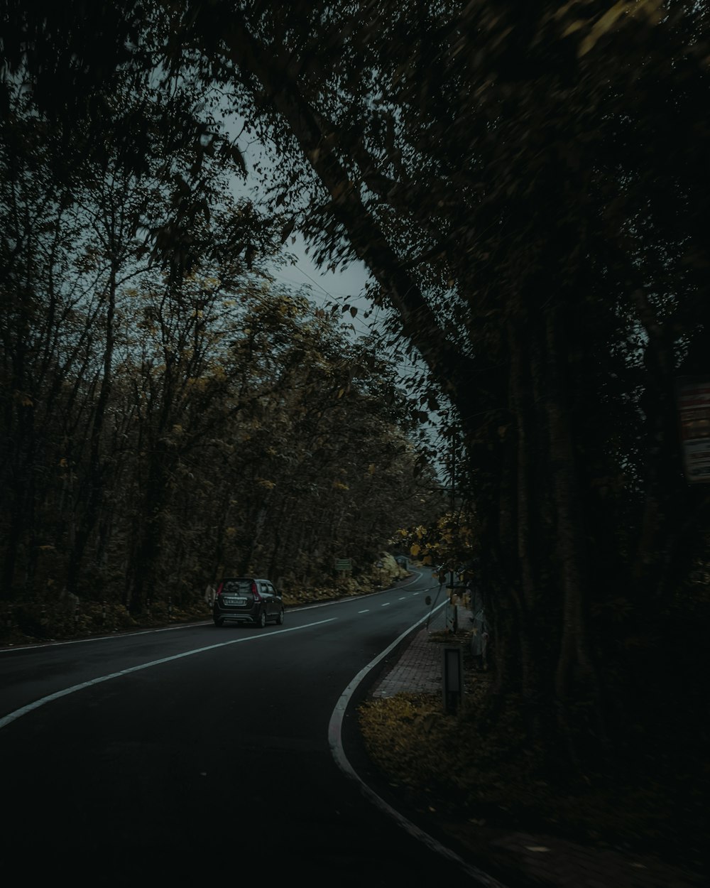 a car driving down a road surrounded by trees