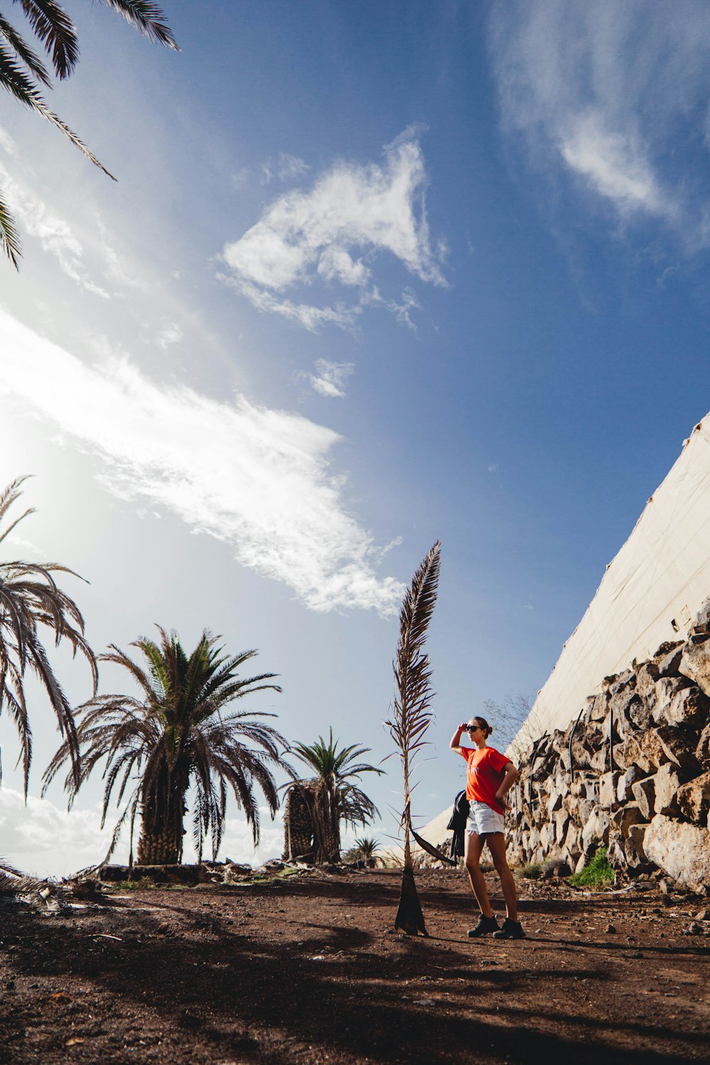 a man standing next to a stone wall and palm trees