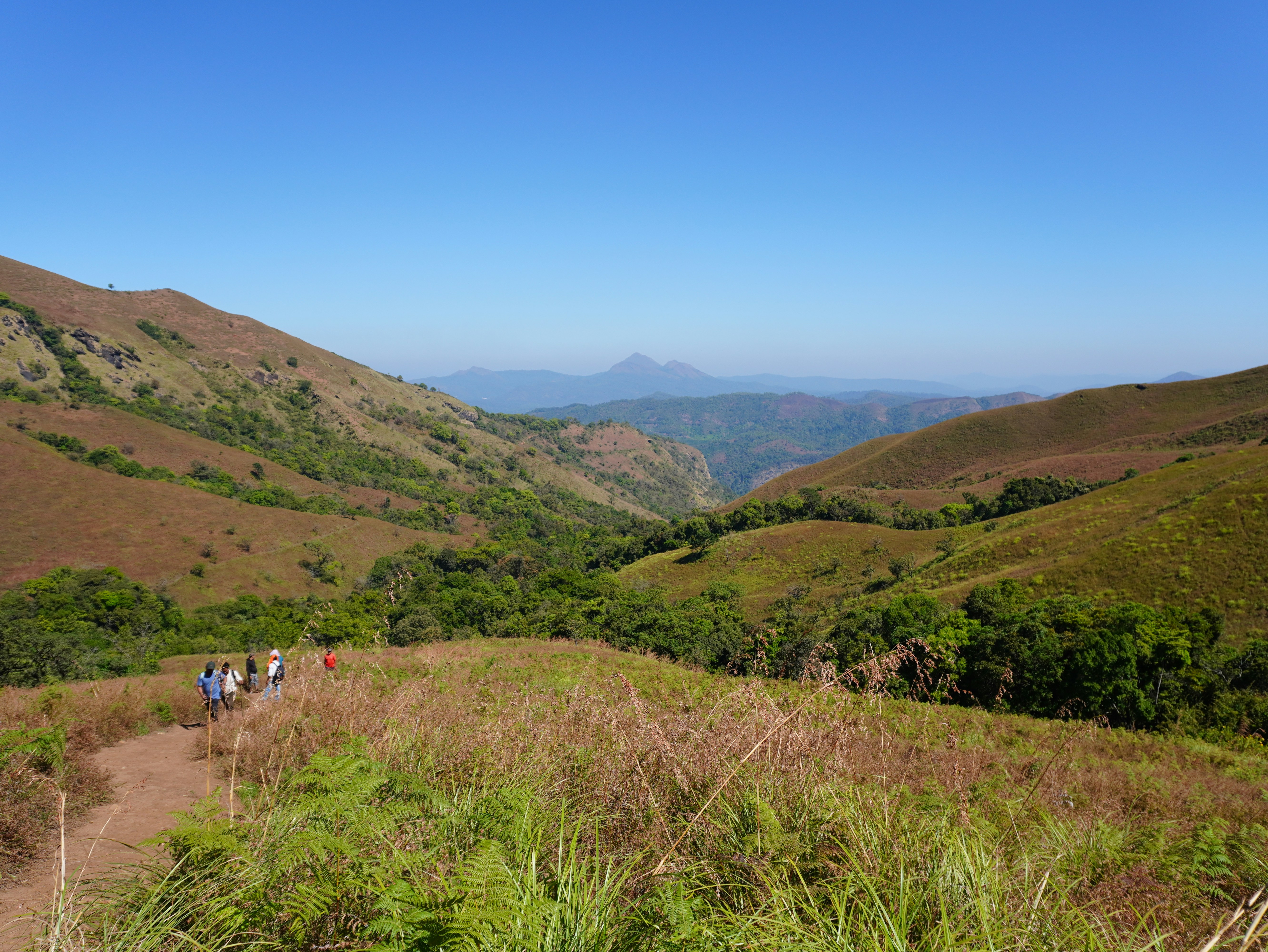 Exploring the "Chorla Ghats": The hidden forest reset on the Goa-Karnataka border.