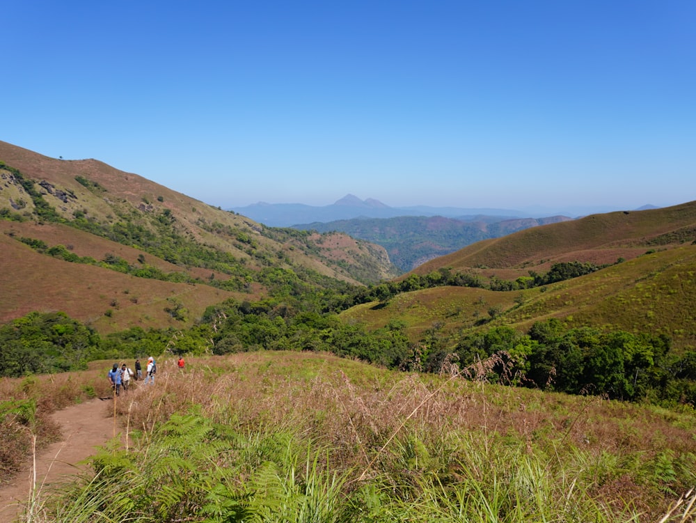 a group of people hiking up a hill