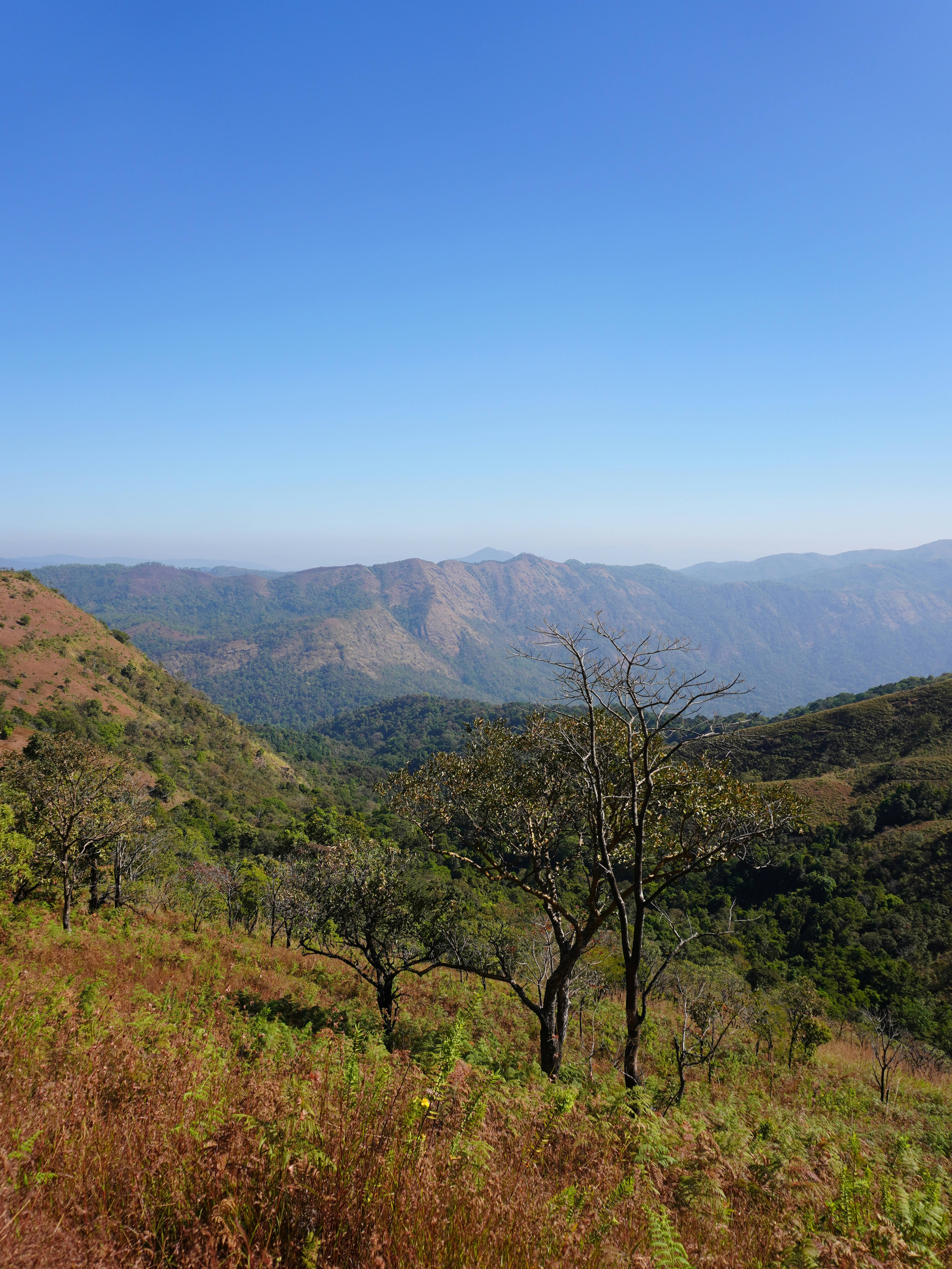 Photo by ankit_zve10