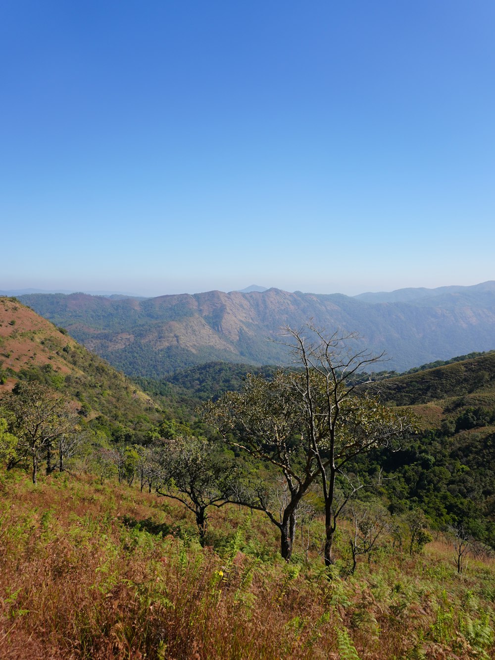 a view of the mountains from a hill top