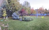 A serene backyard featuring a beautifully designed native garden.