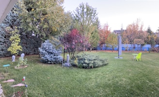 A serene backyard garden featuring a variety of trees and shrubs, including evergreens and deciduous trees with autumn leaves. The grass is well-maintained, and a small round table with two bright yellow chairs is set up on the lawn. A decorative statue is placed among some plants, and there's an umbrella stand without the canopy.