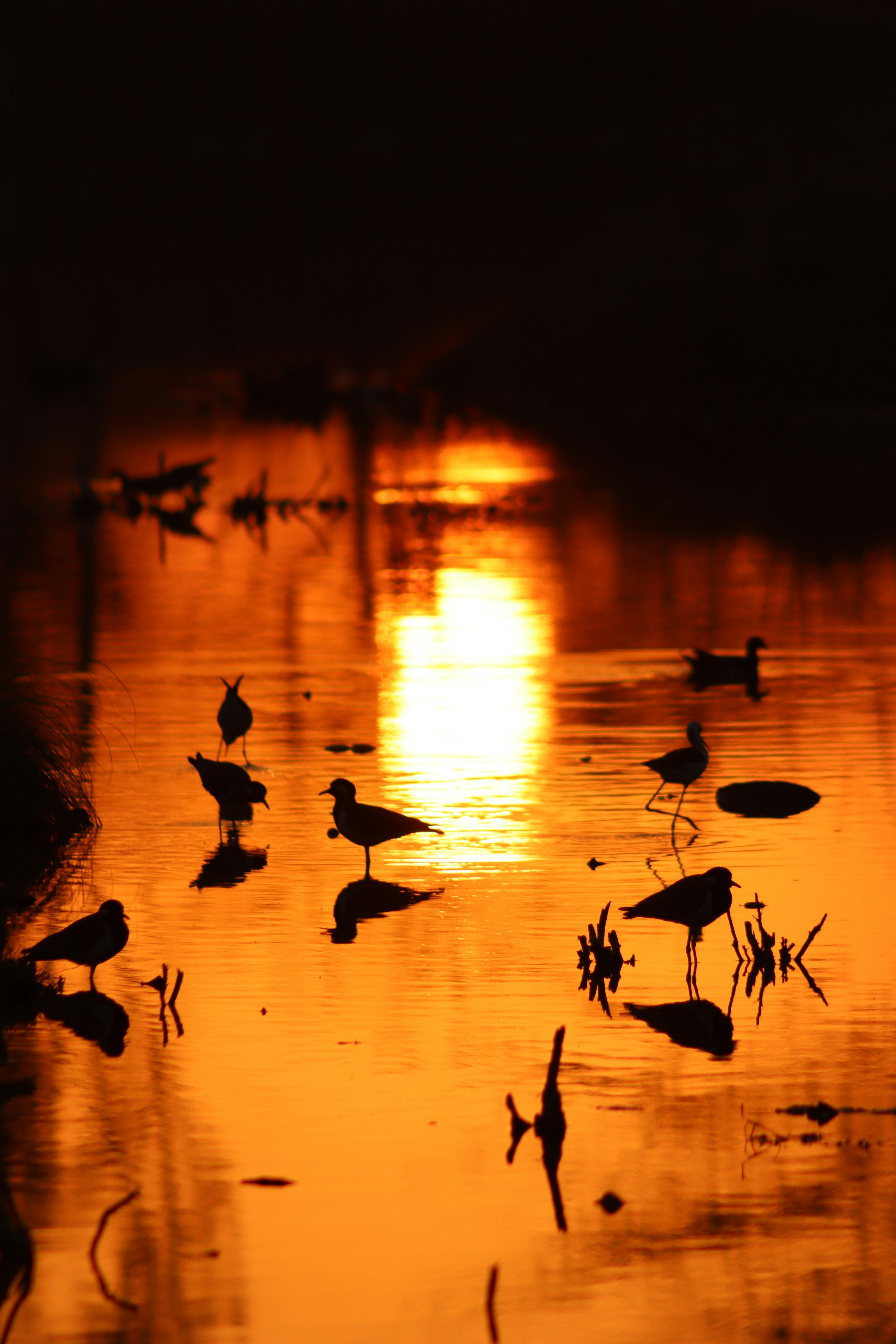 Photo by drphotographer152