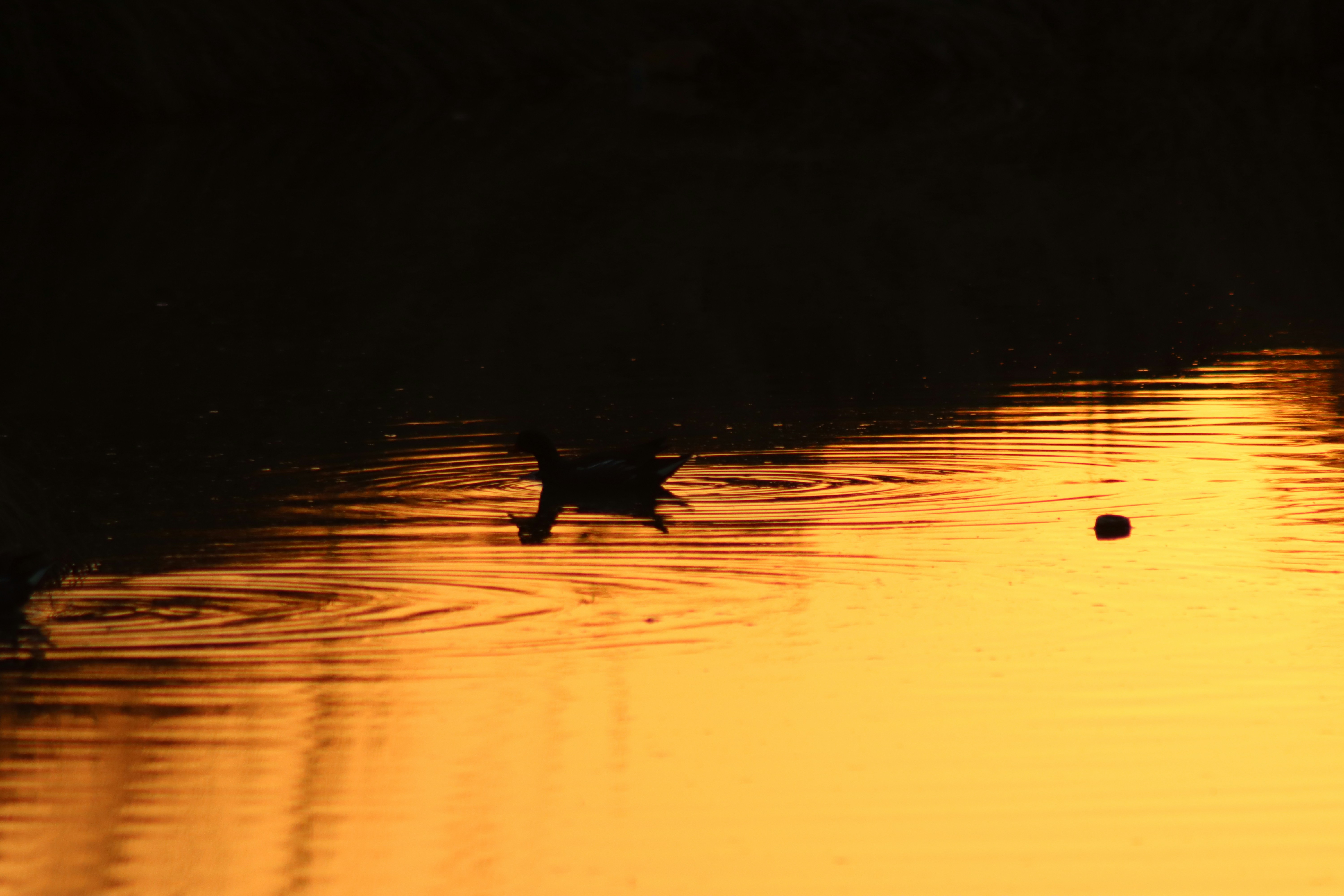 Photo by drphotographer152