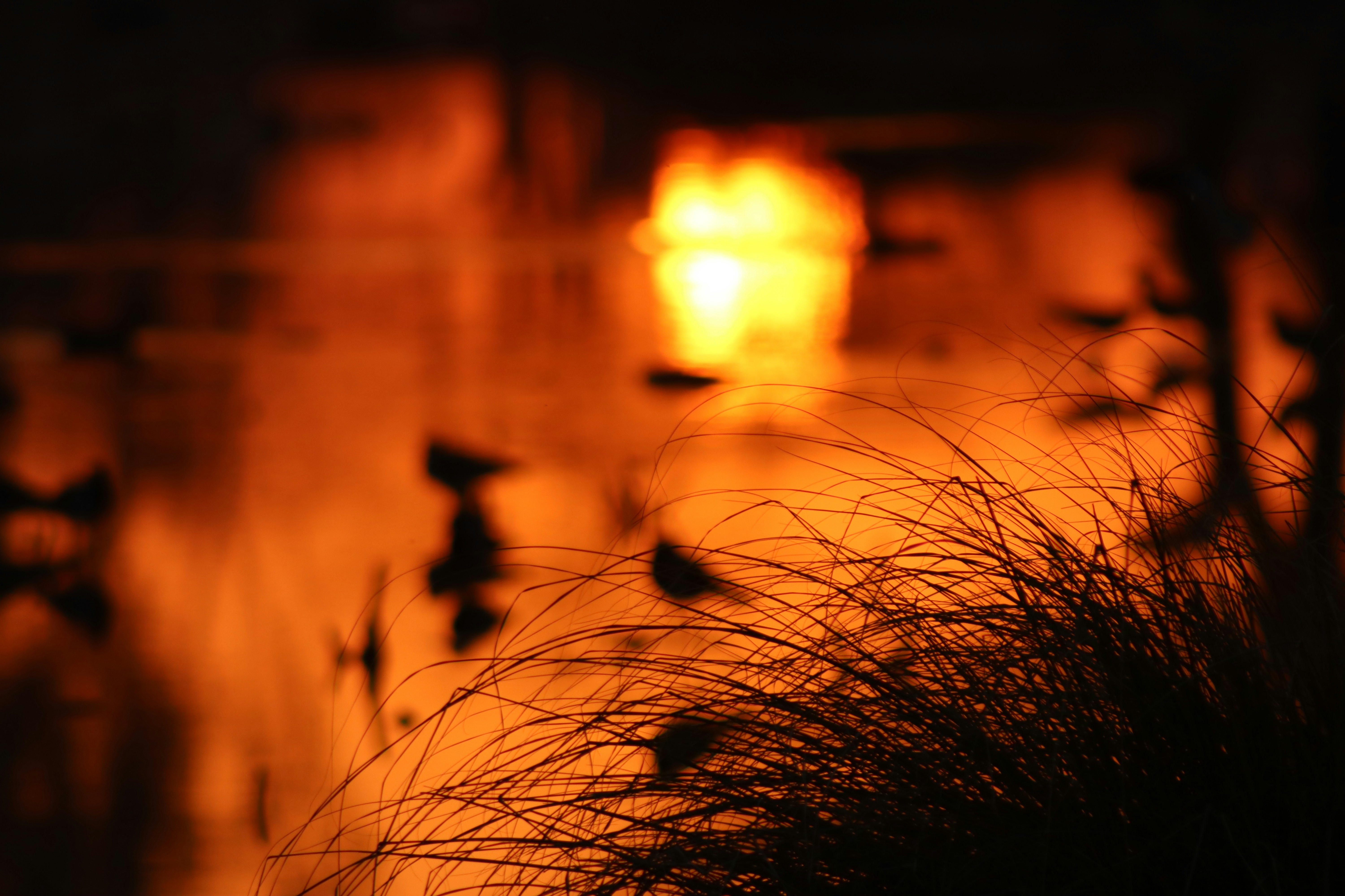 Photo by drphotographer152