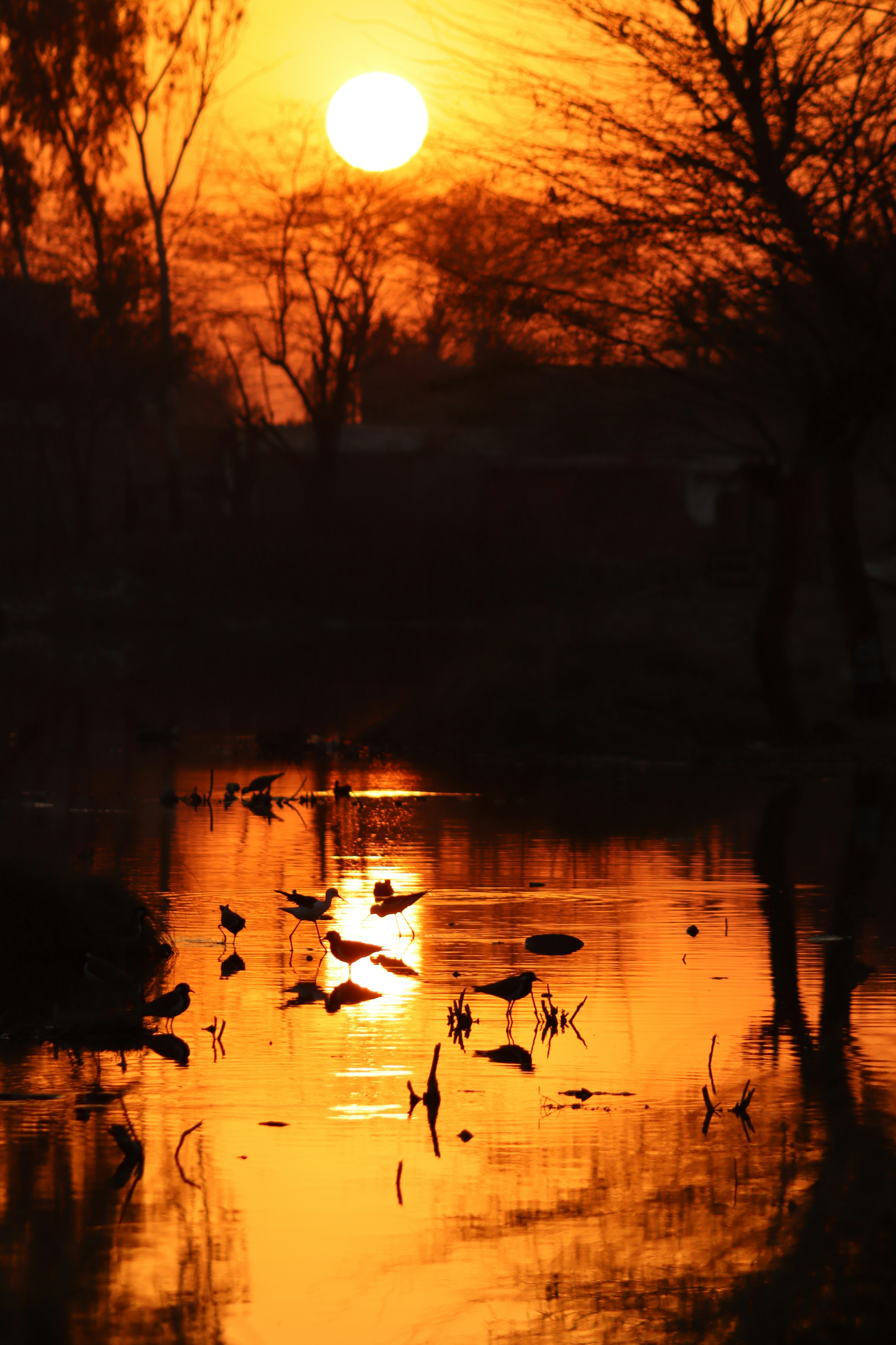 Photo by drphotographer152