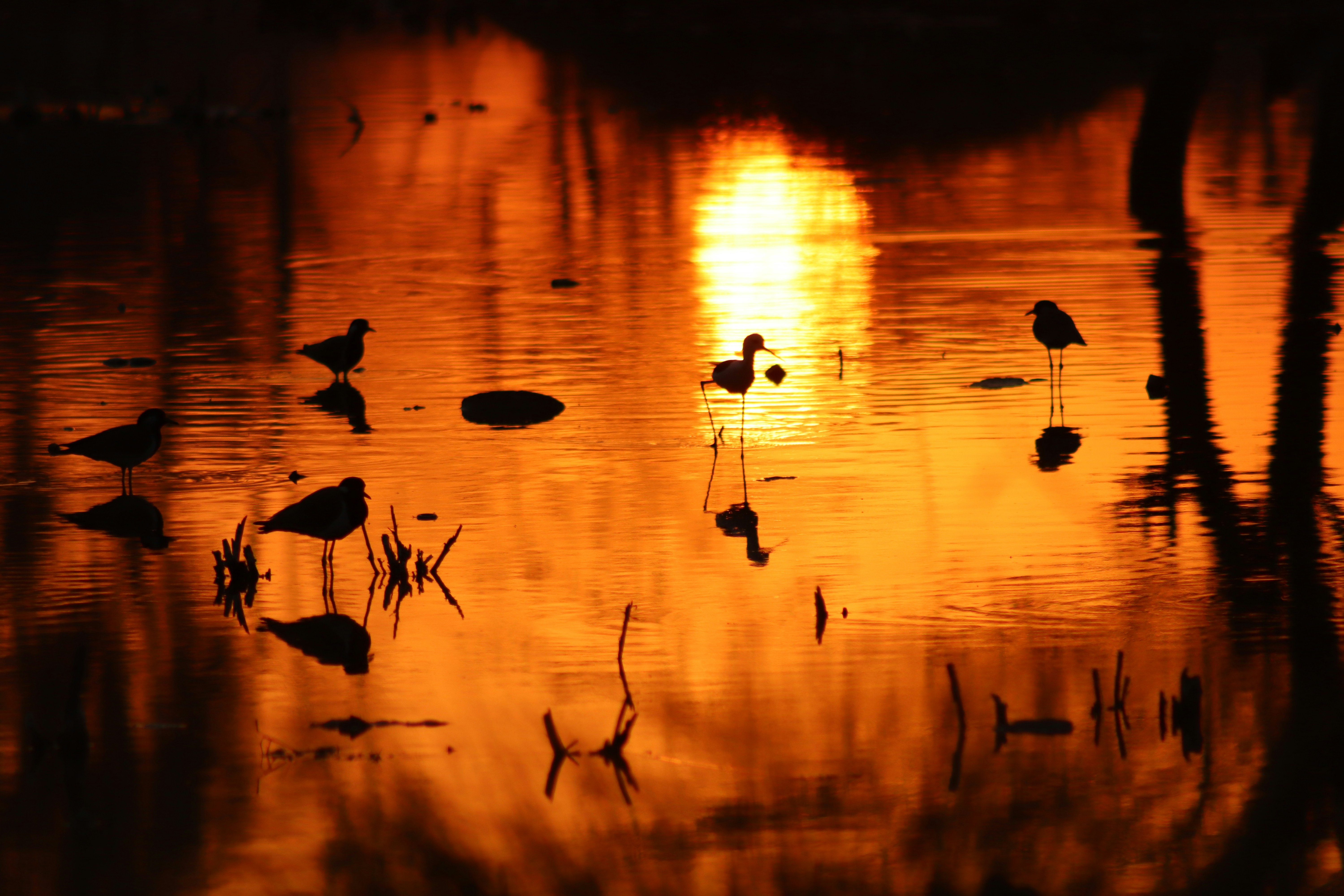 Photo by drphotographer152