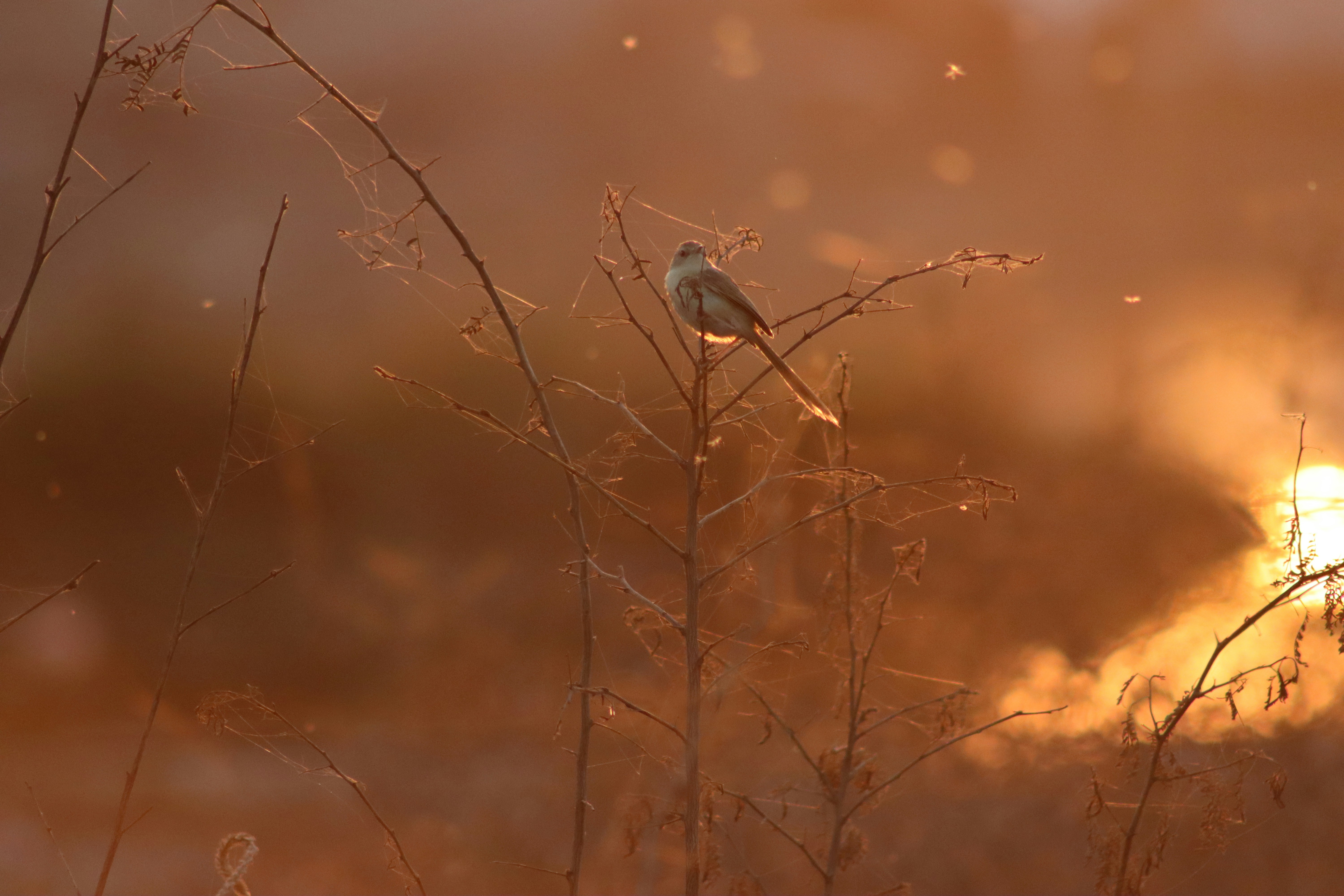 Photo by drphotographer152