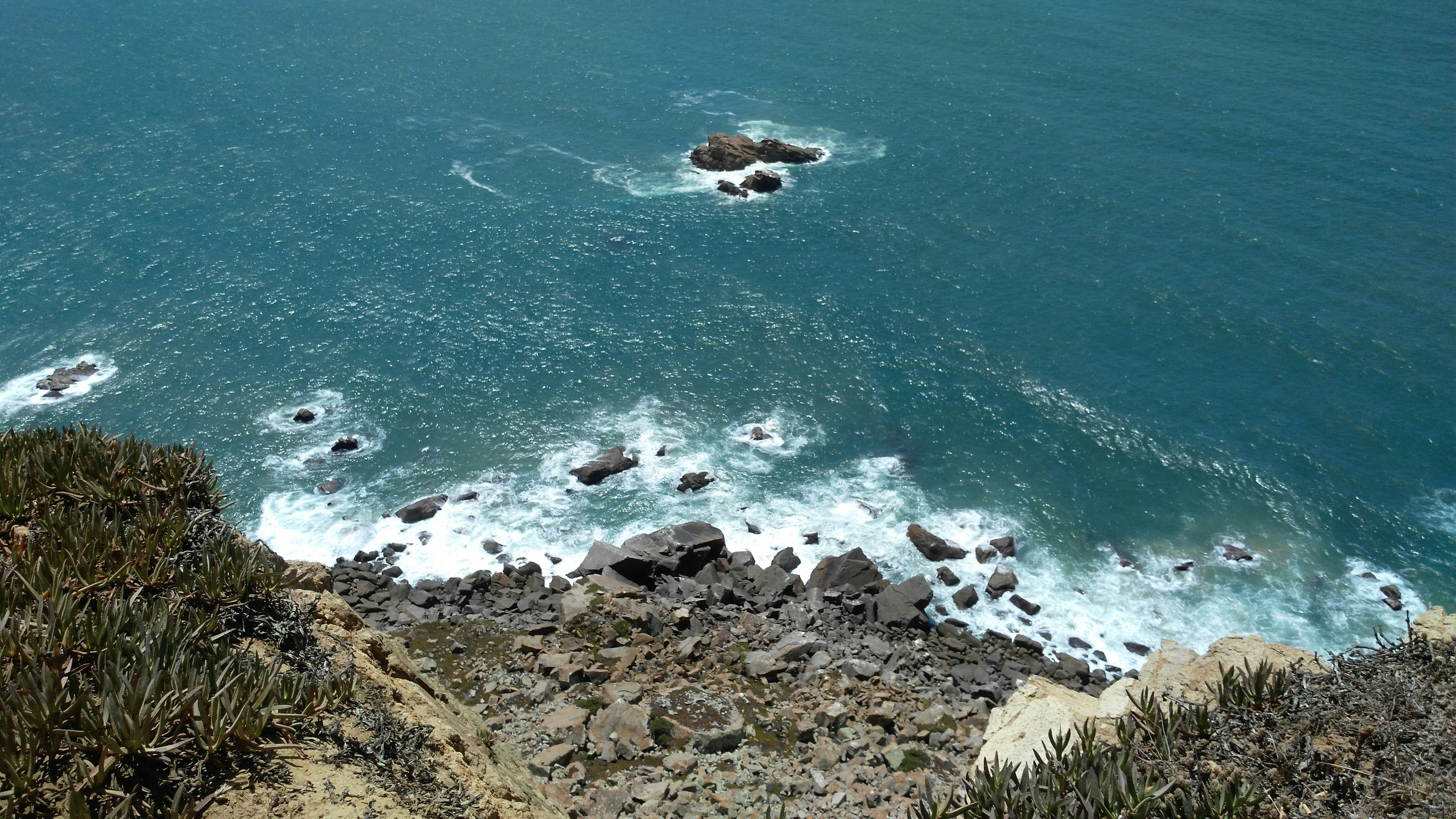 Photo by olesia_libra