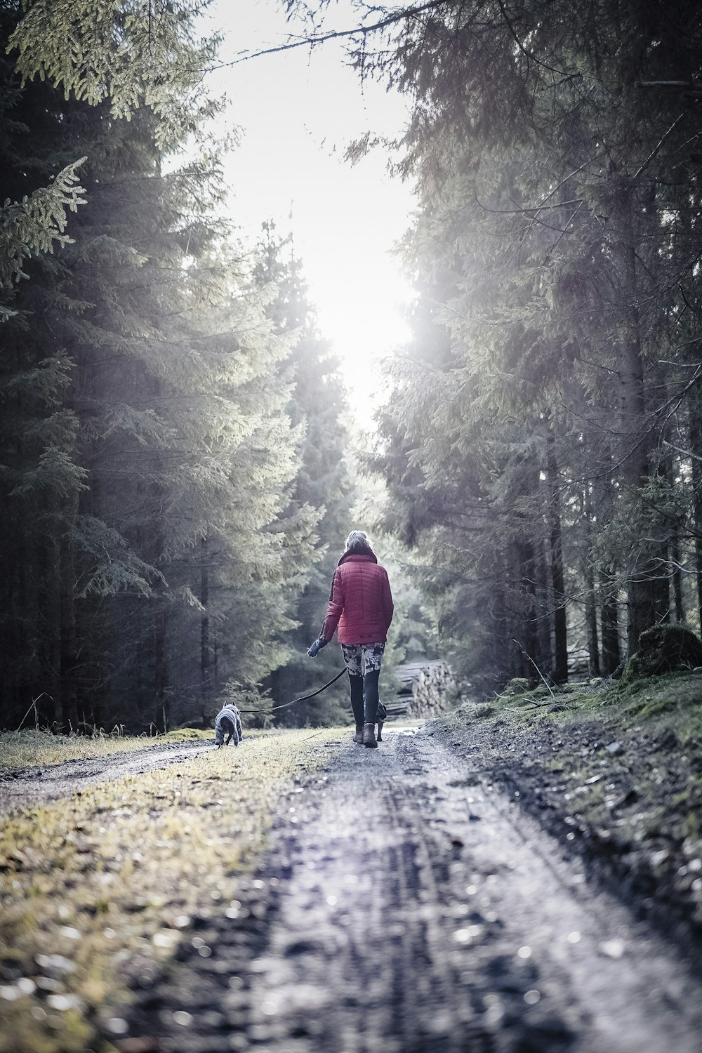 a person walking a dog down a dirt road