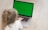A young child with blonde hair tied in a ponytail is sitting on the floor, using a laptop with a bright green screen. The child is wearing a white shirt and their attention is focused on the laptop. The floor appears to be a light wooden texture, creating a neutral background for the scene.